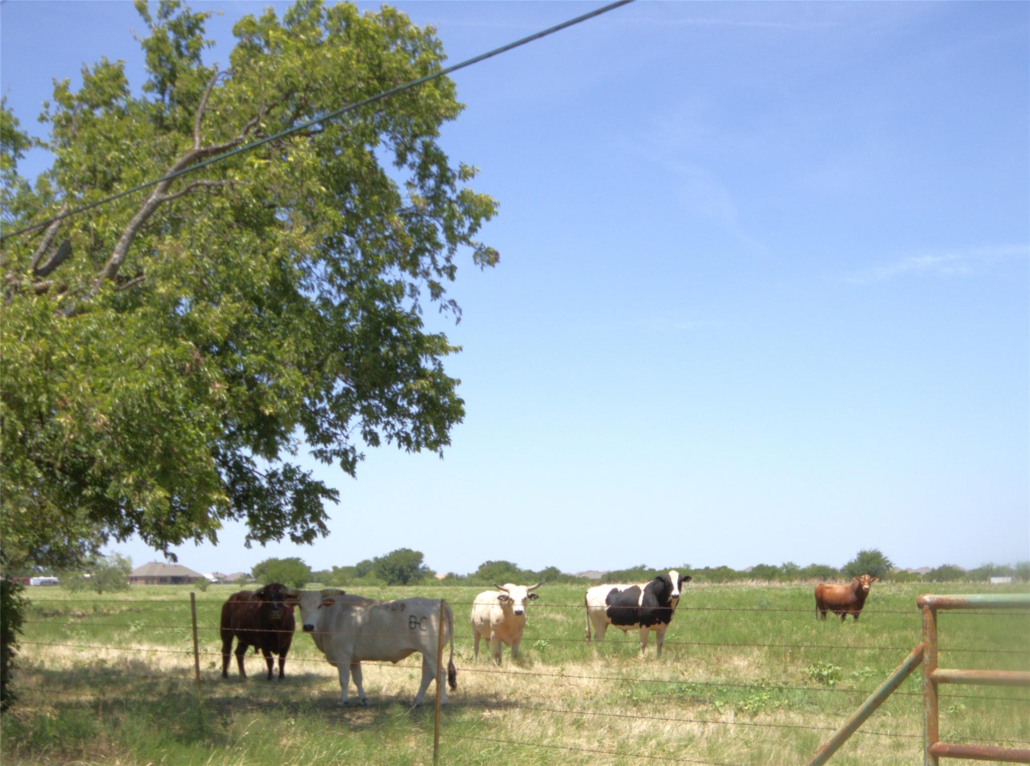 main property photo 7