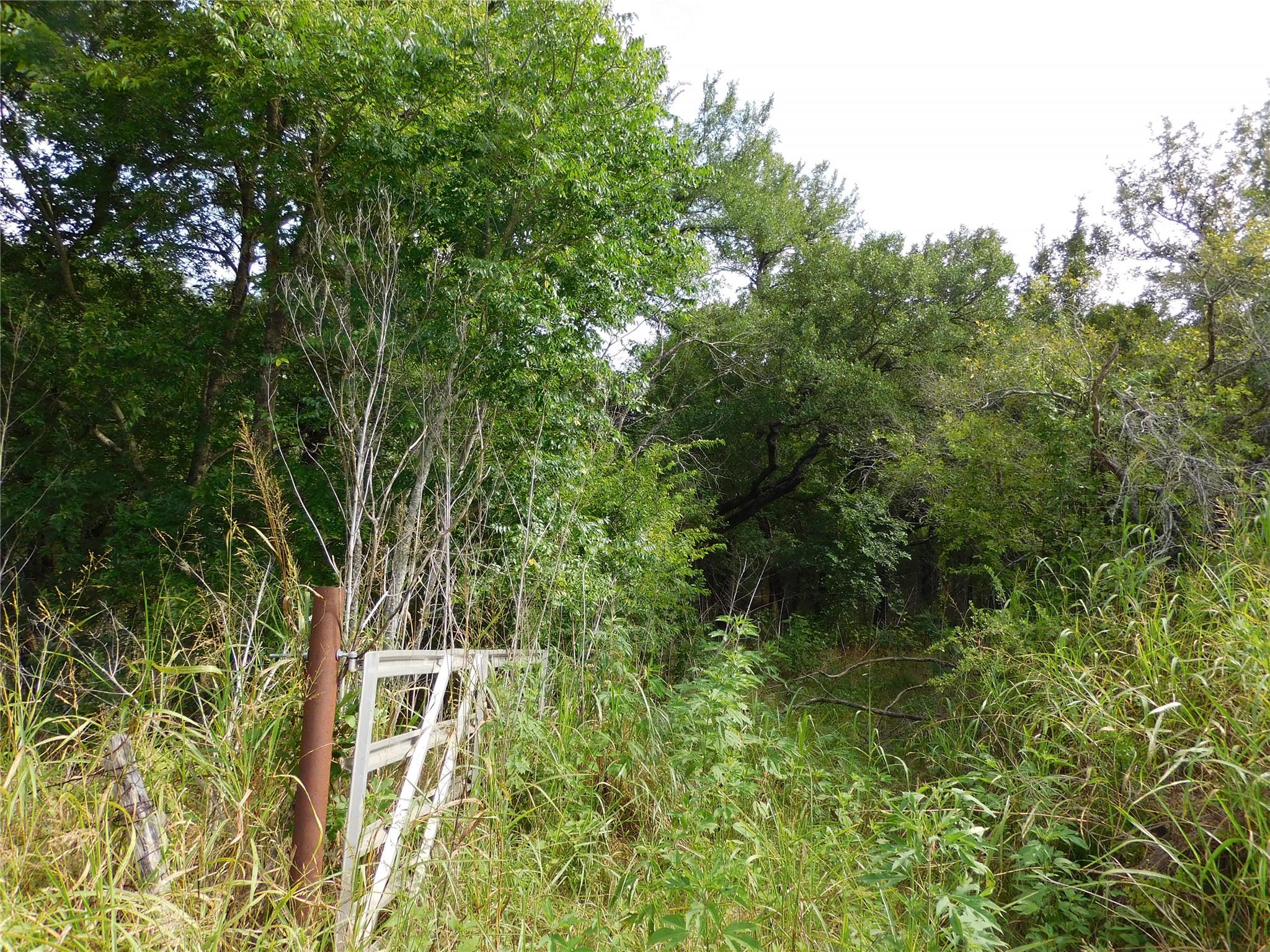 main property photo 0
