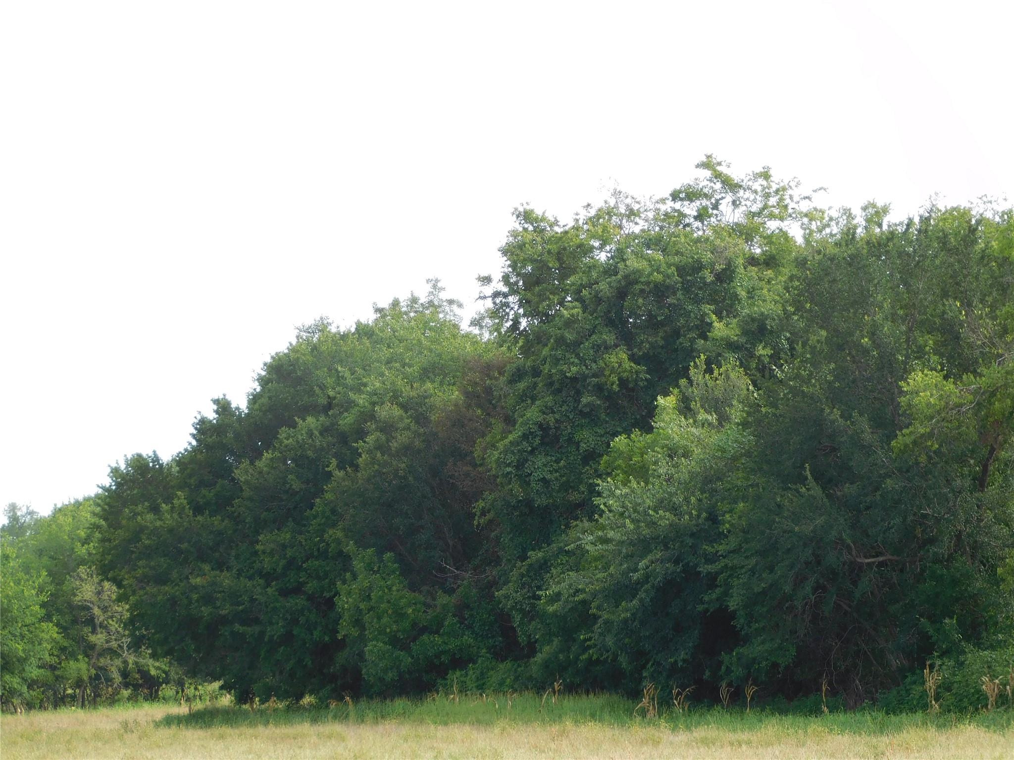 main property photo 11