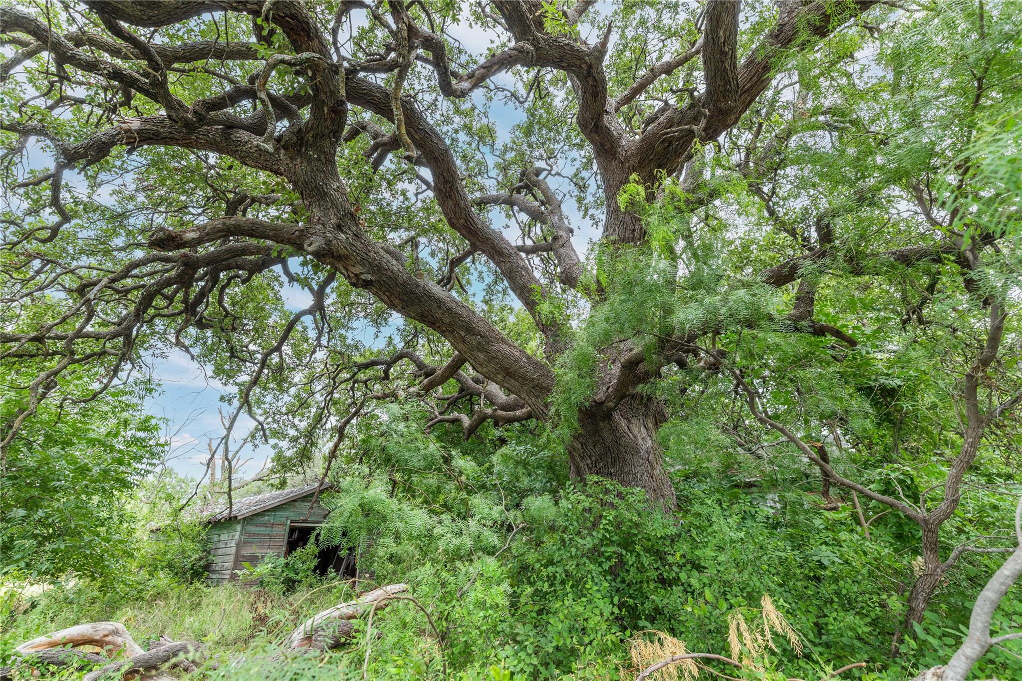 main property photo 22