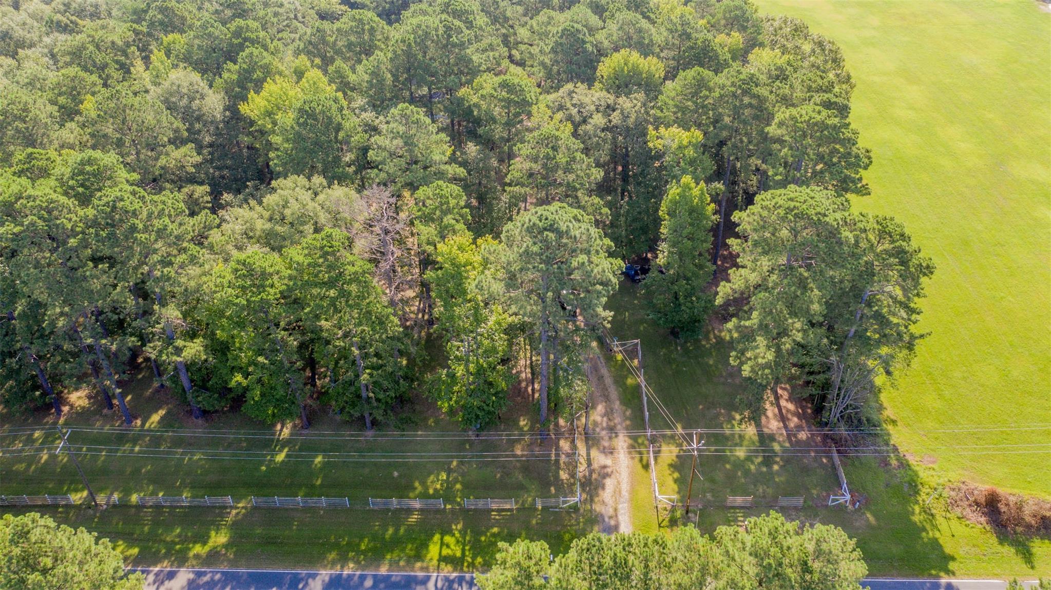 main property photo 28