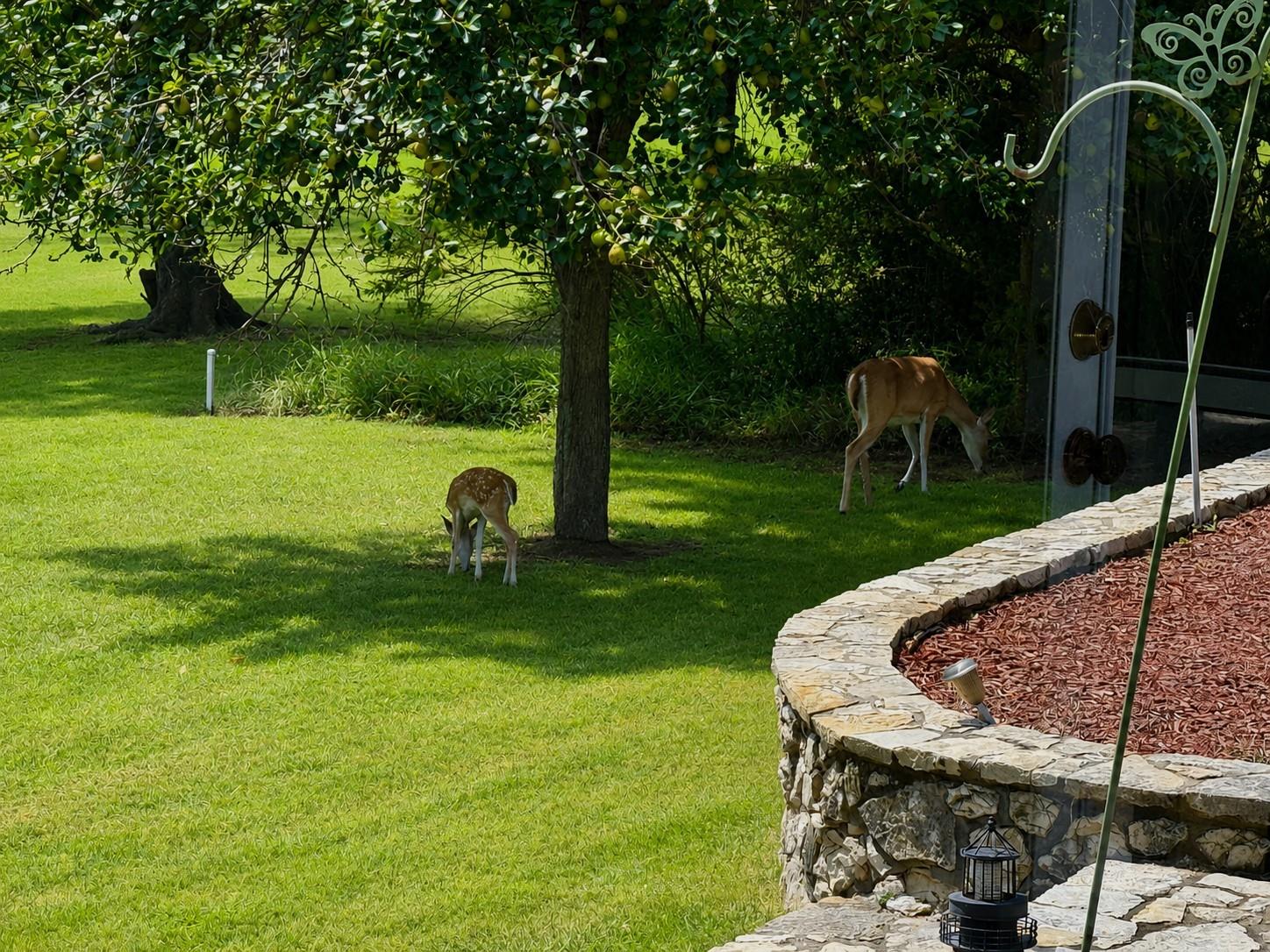 main property photo 21