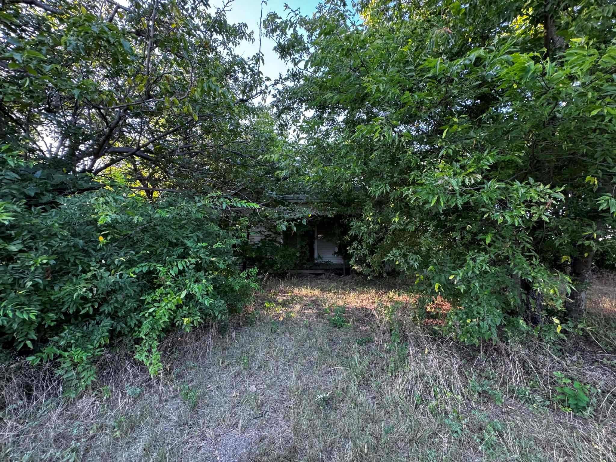 main property photo 15