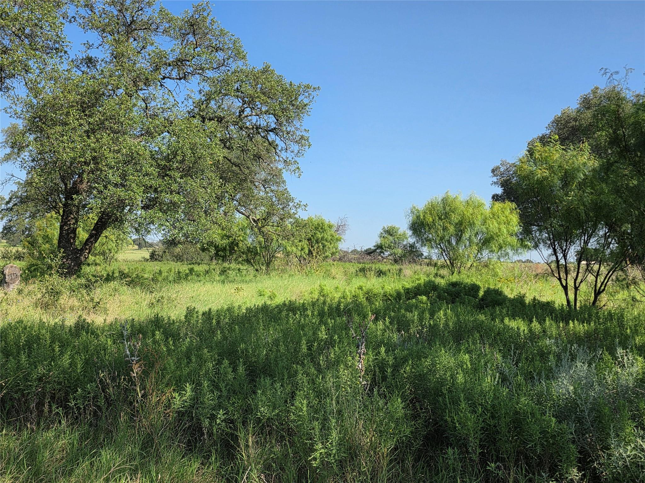 main property photo 35