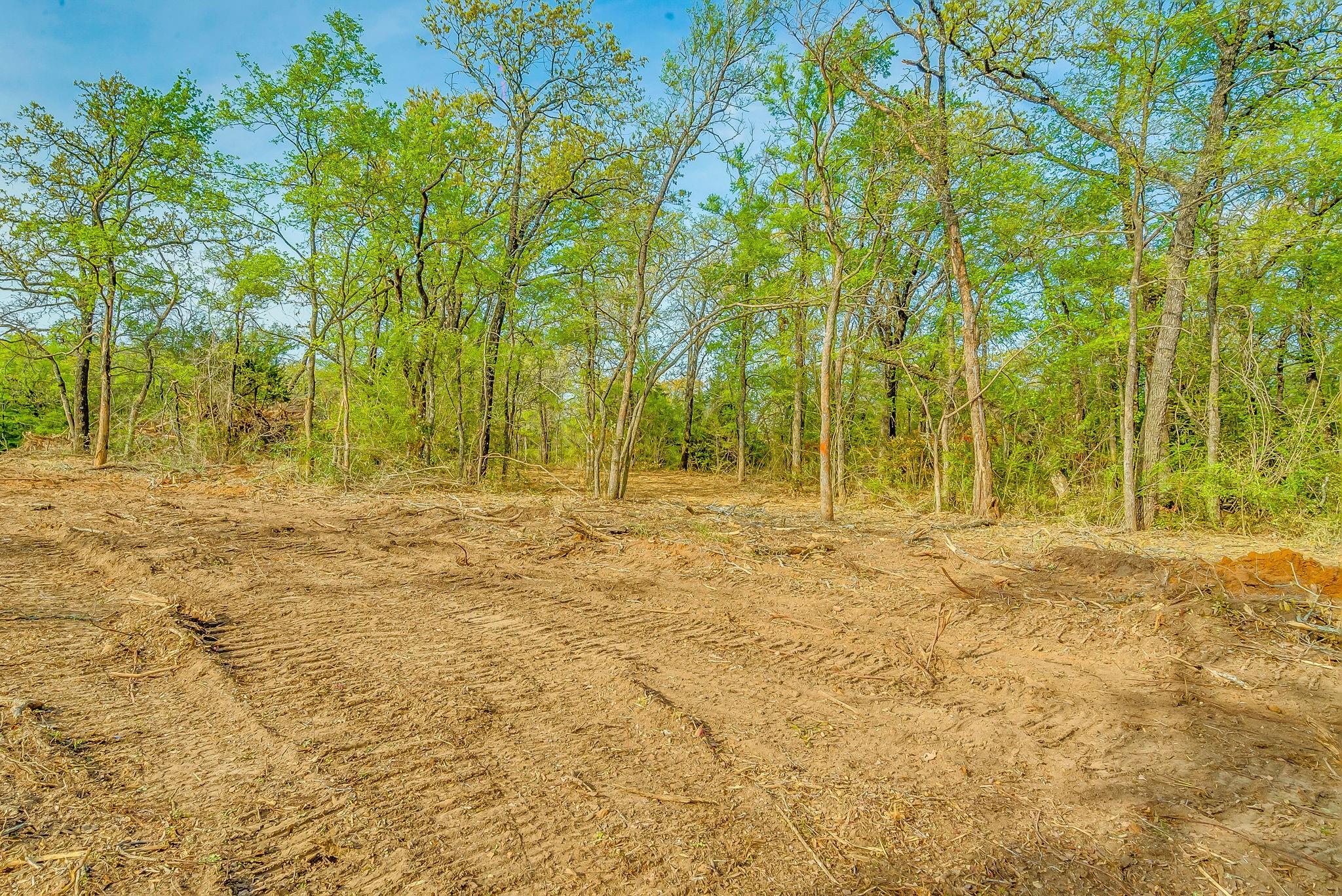 main property photo 10