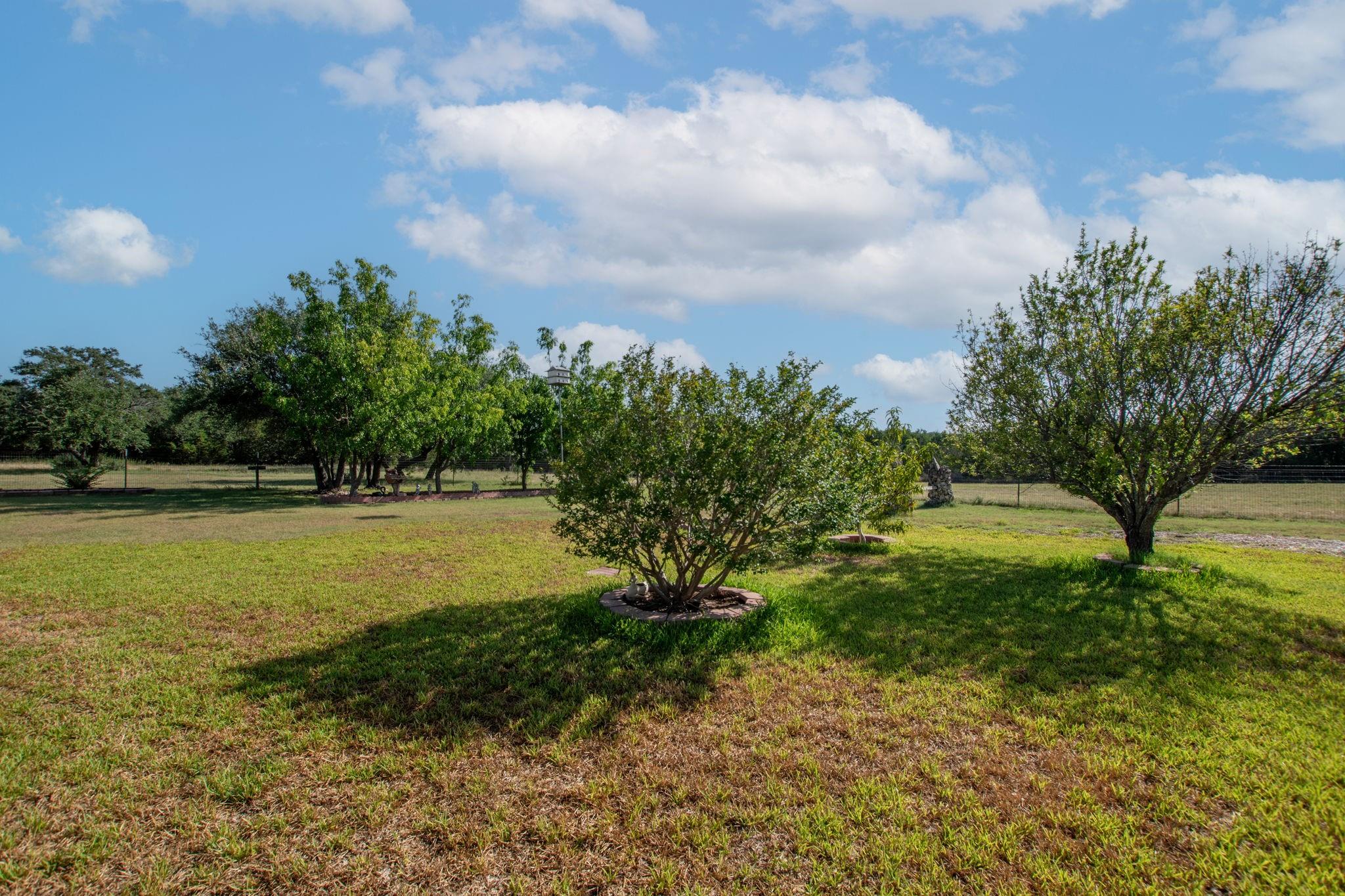 main property photo 35