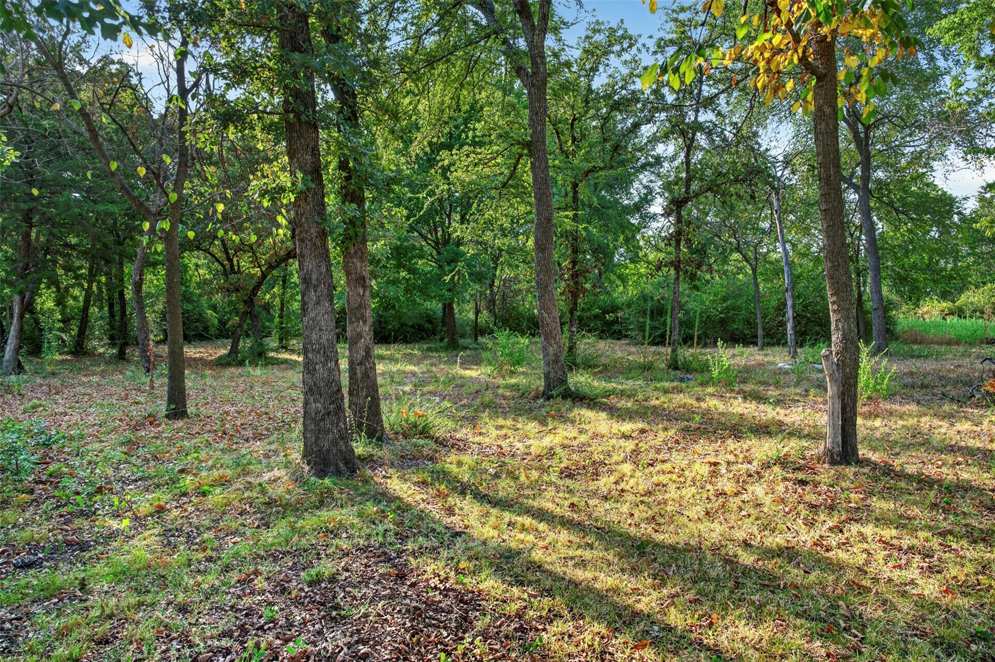 main property photo 0
