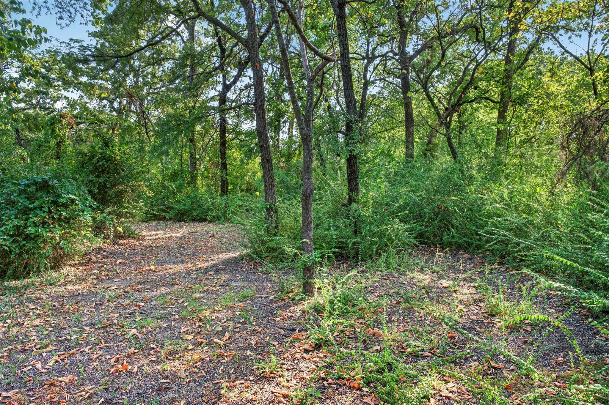 main property photo 6