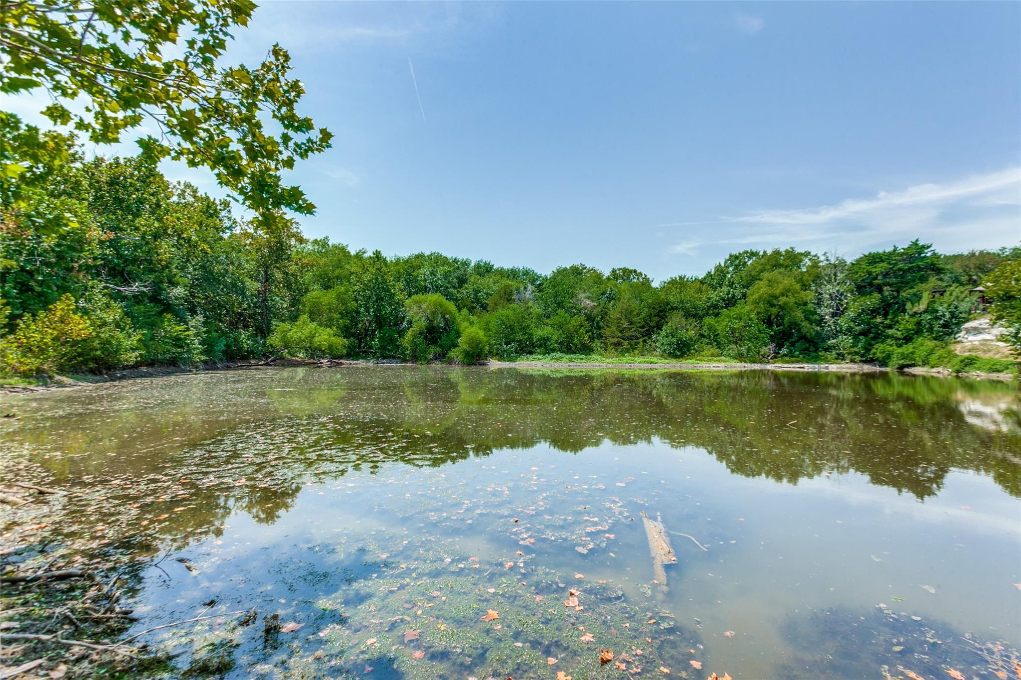 main property photo 37