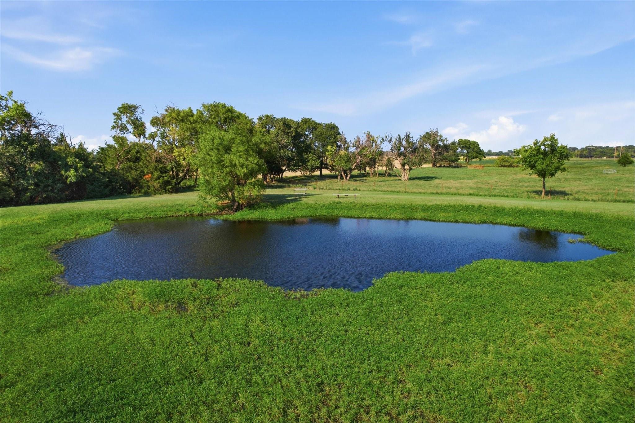 main property photo 36