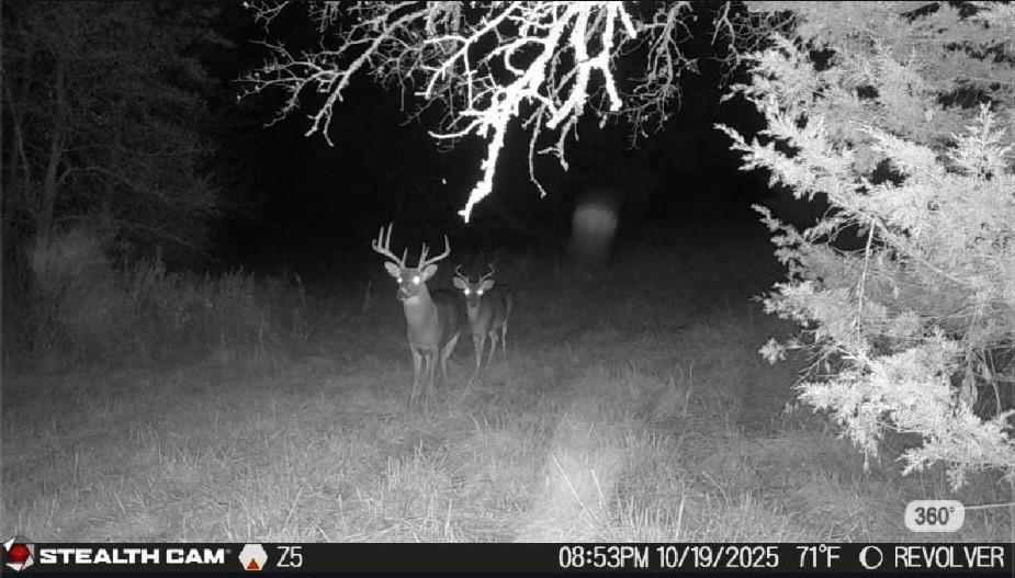 main property photo 37