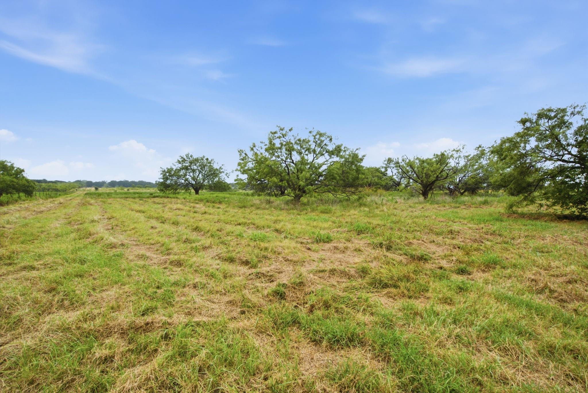 main property photo 35