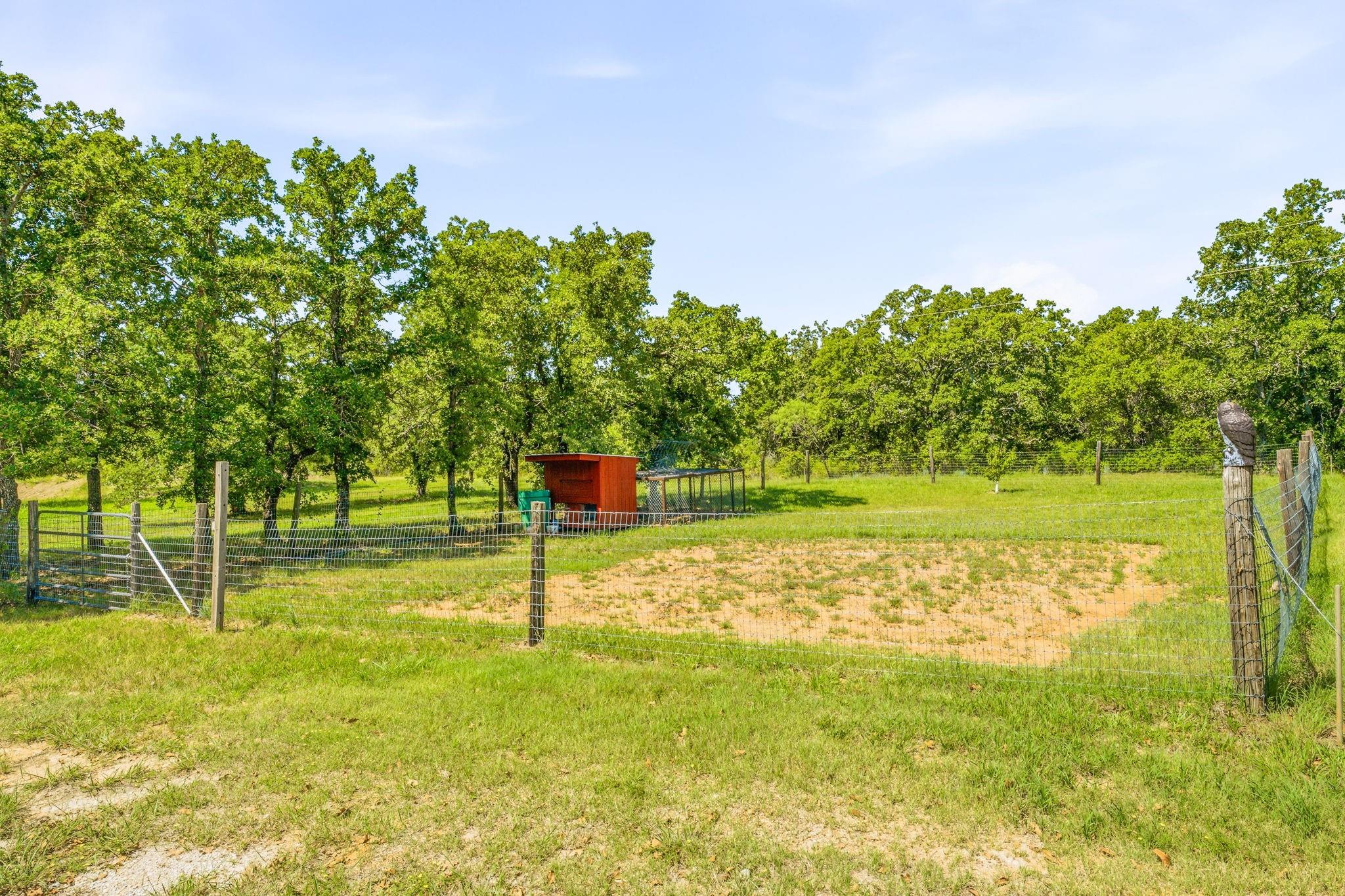 main property photo 25