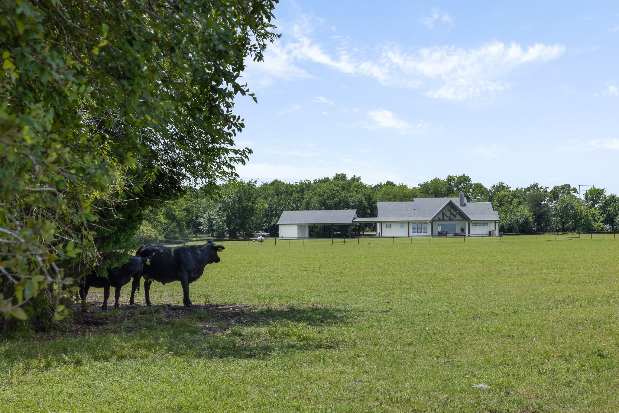 main property photo 35
