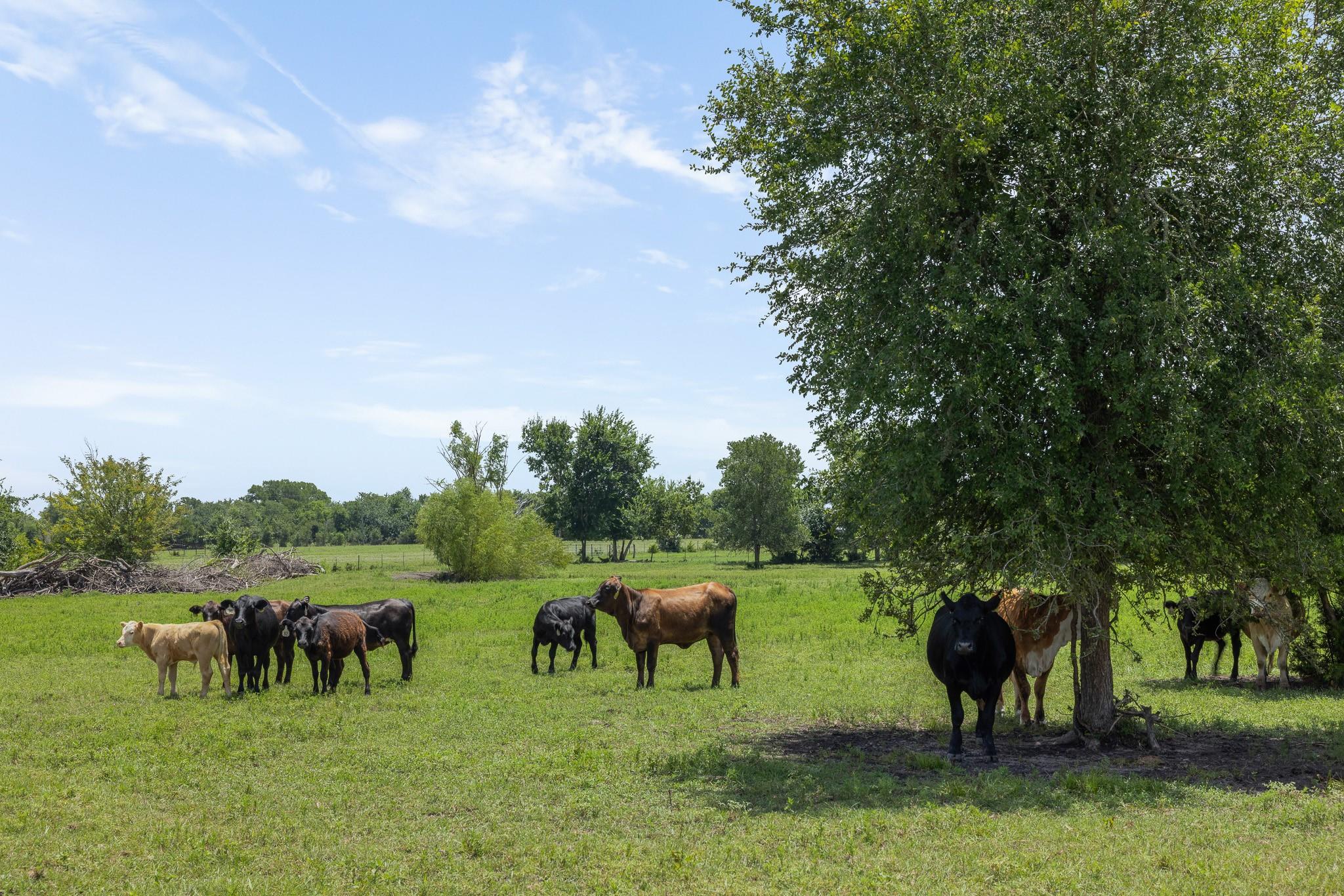 main property photo 36