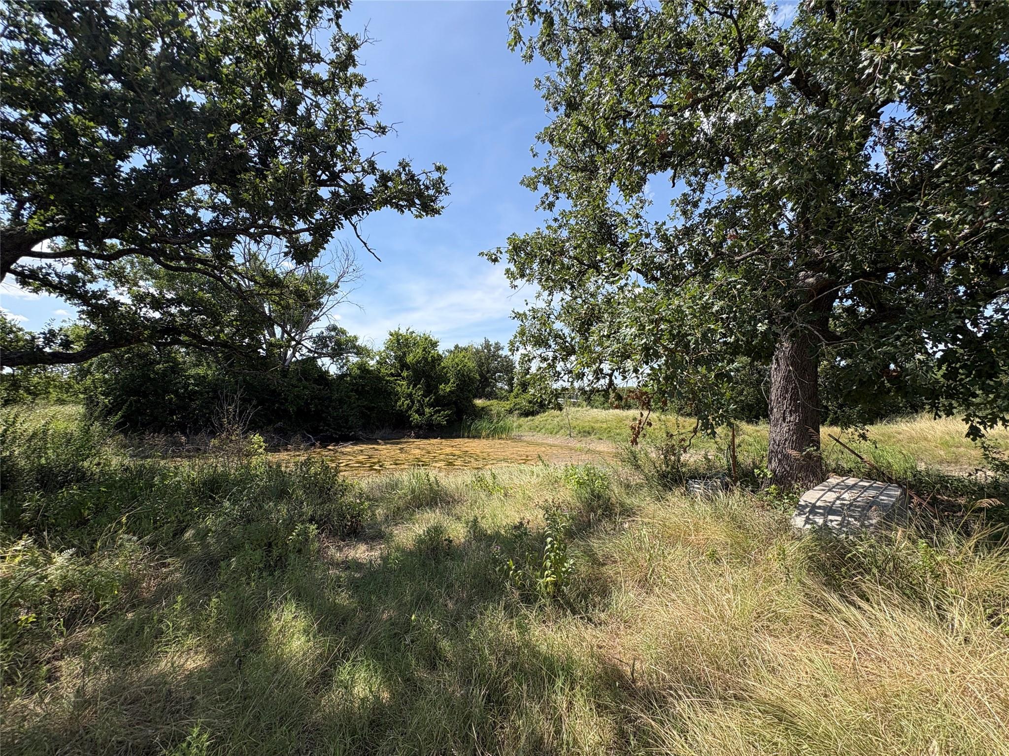 main property photo 10