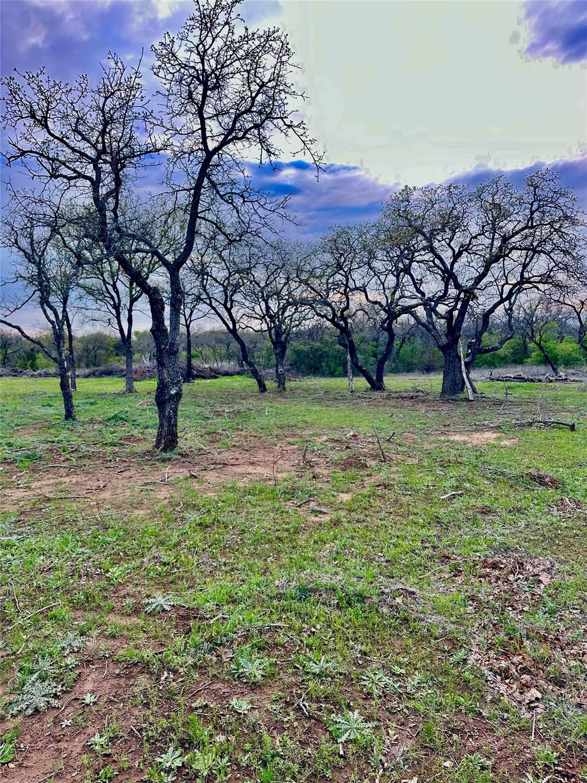main property photo 0