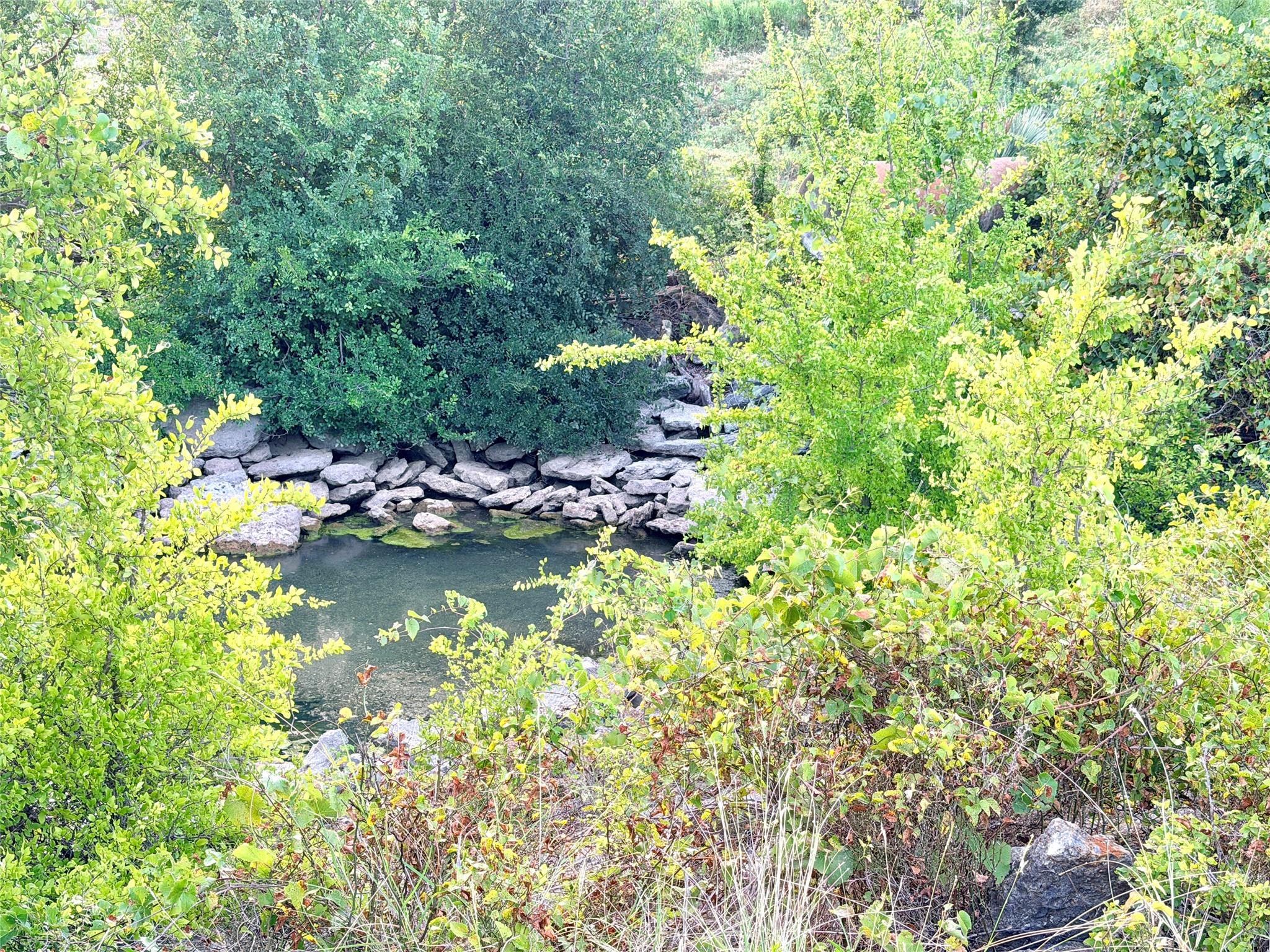 main property photo 28