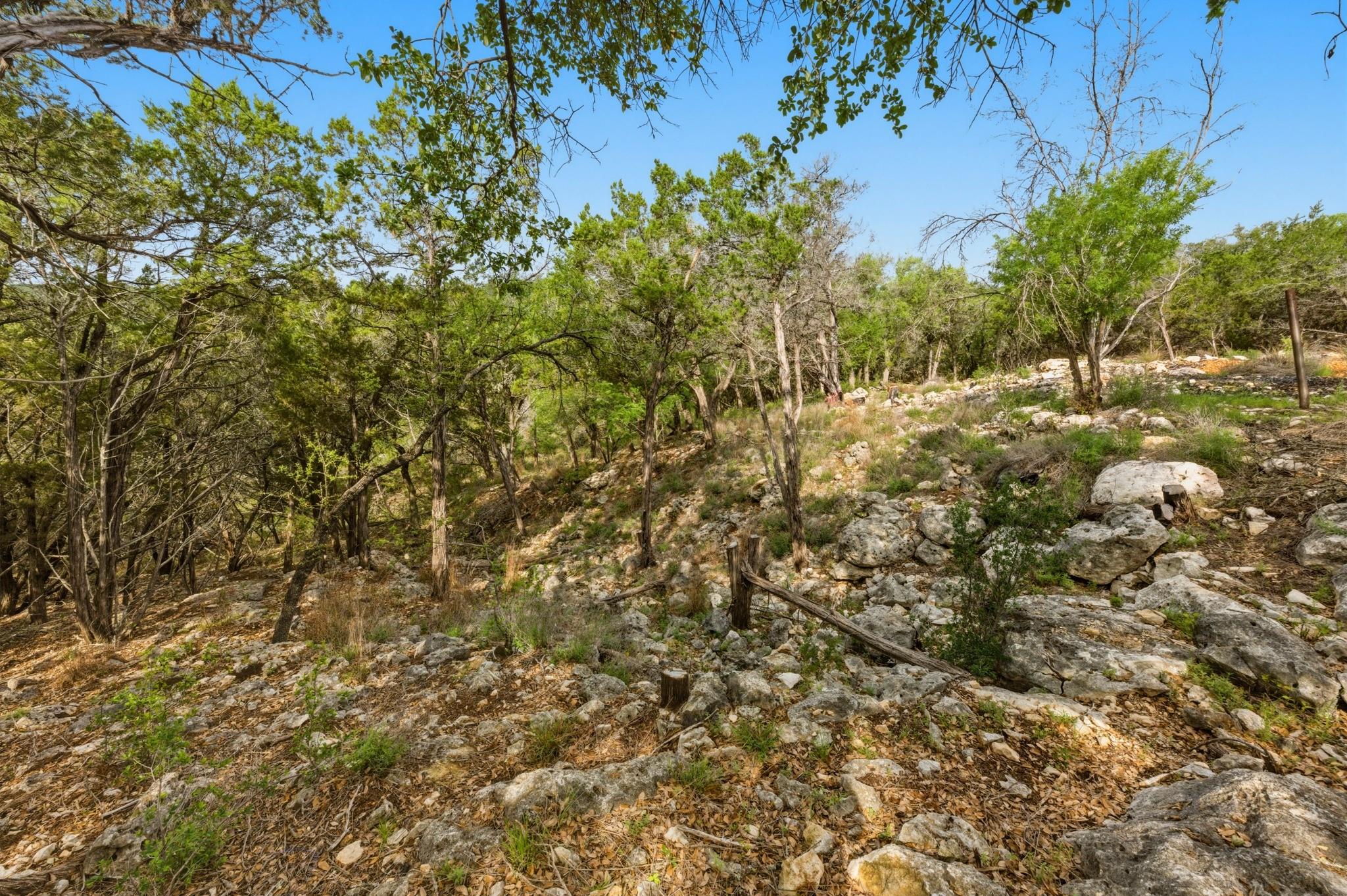 main property photo 20