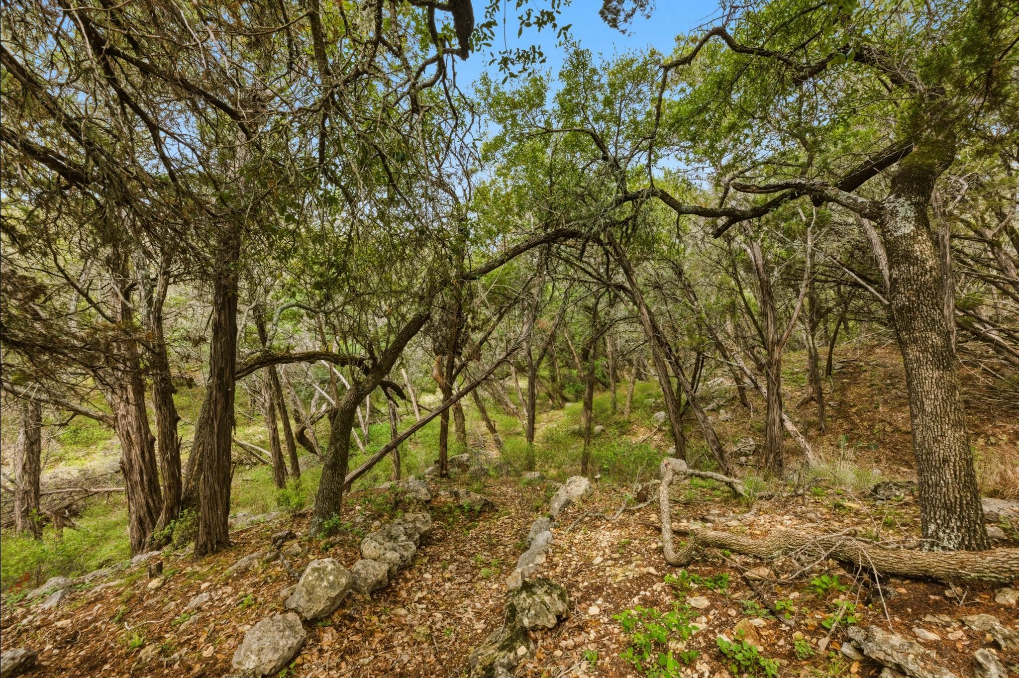 main property photo 25
