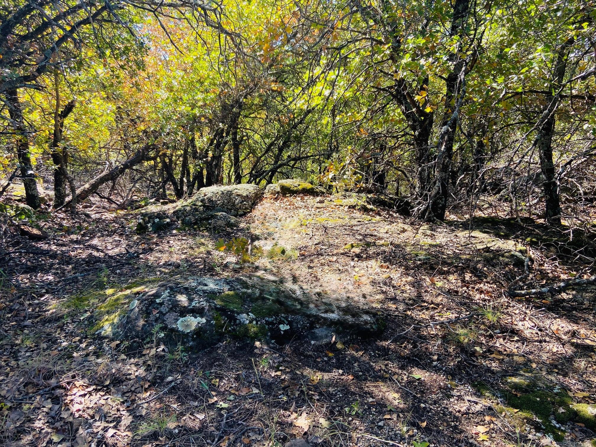 main property photo 0