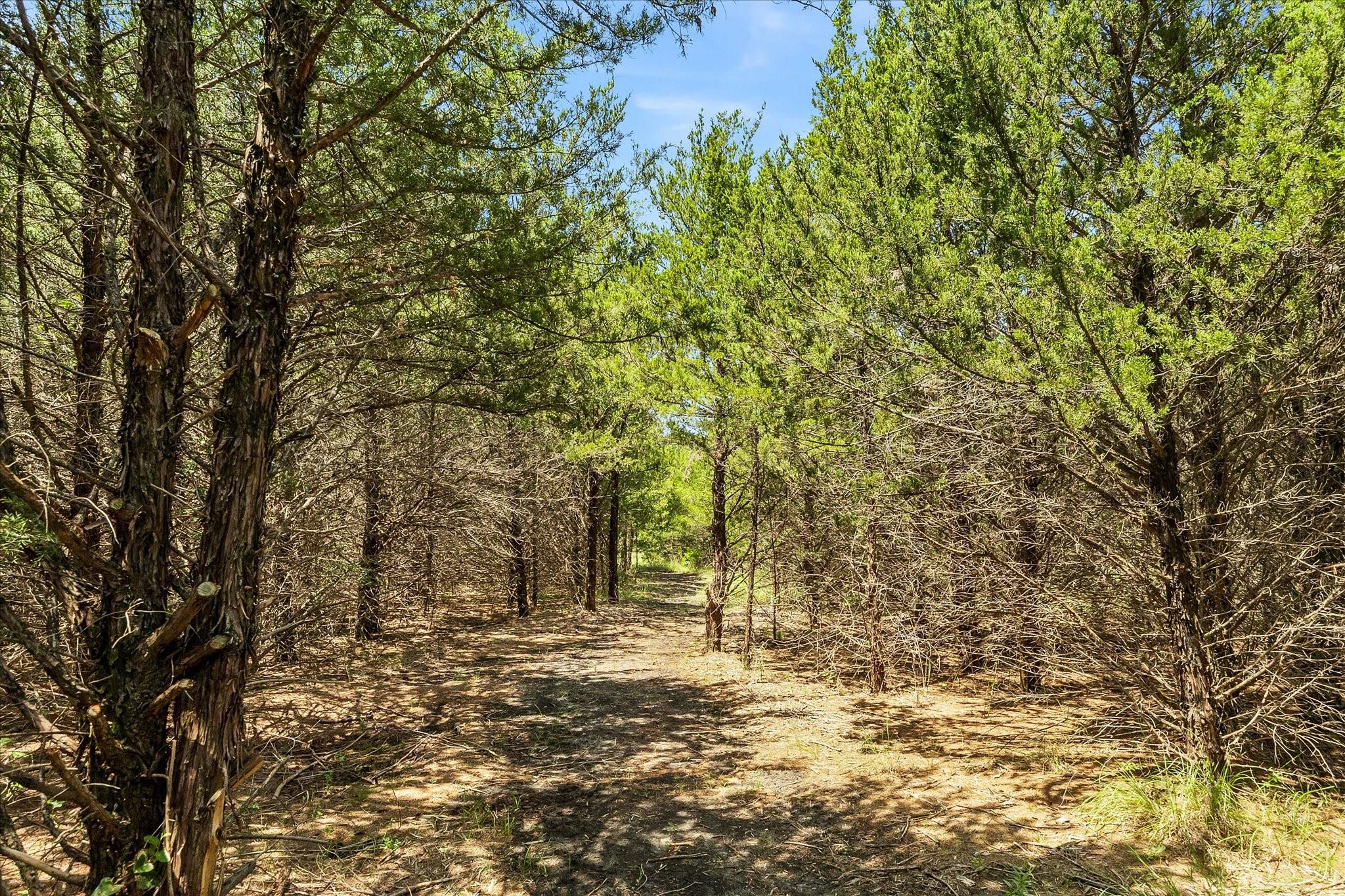 main property photo 32