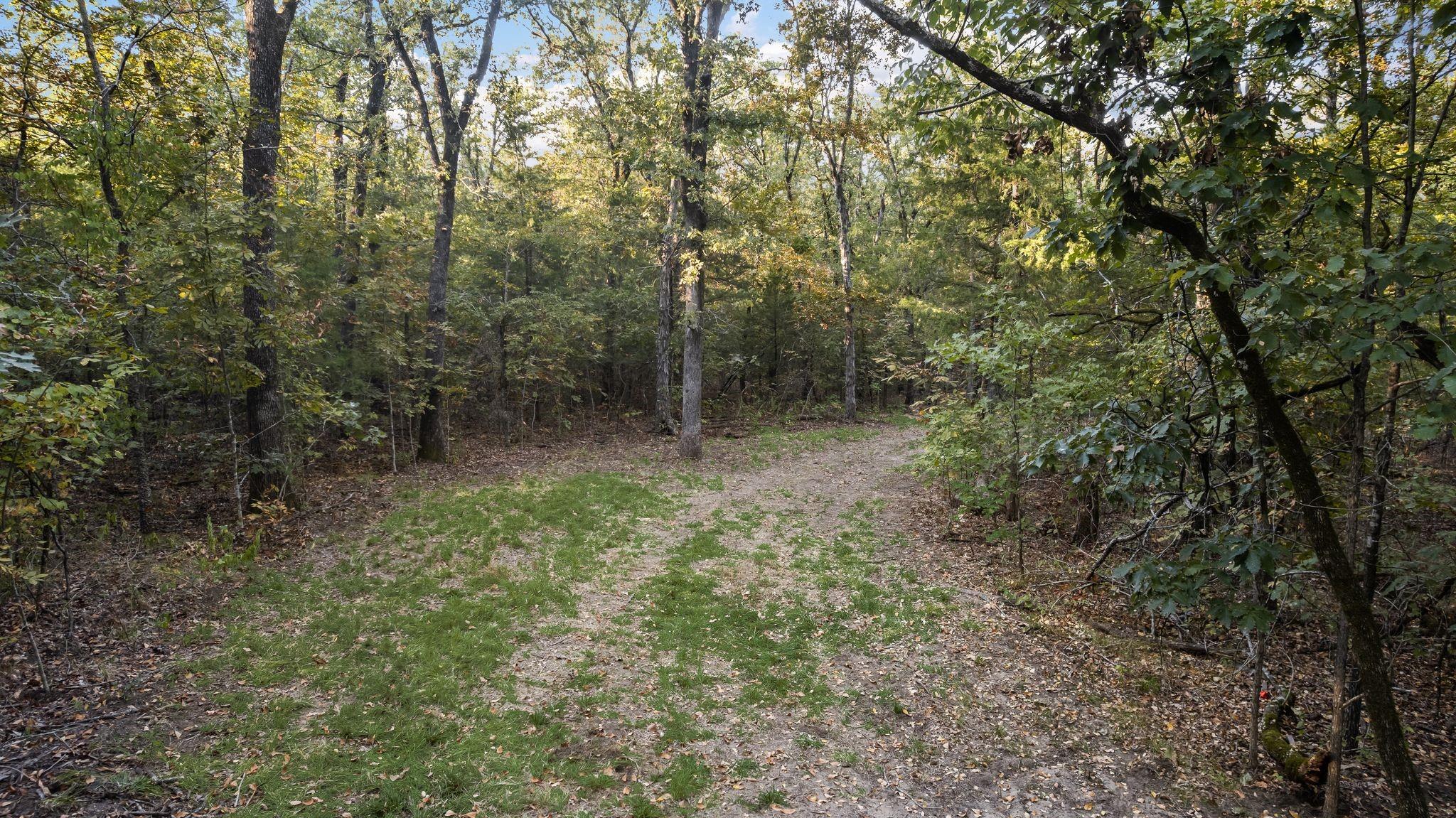 main property photo 36