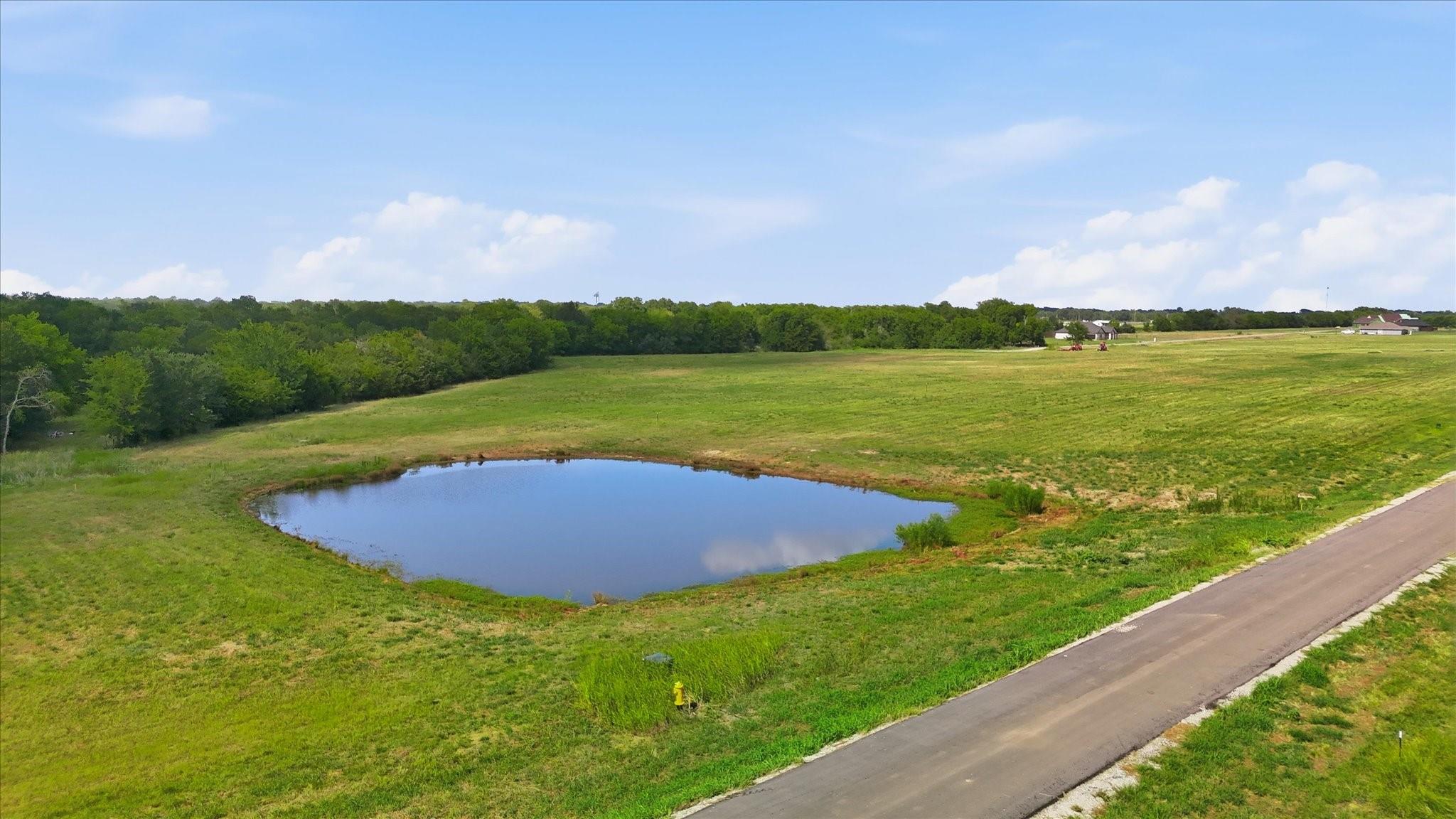 main property photo 5