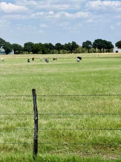 main property photo 30