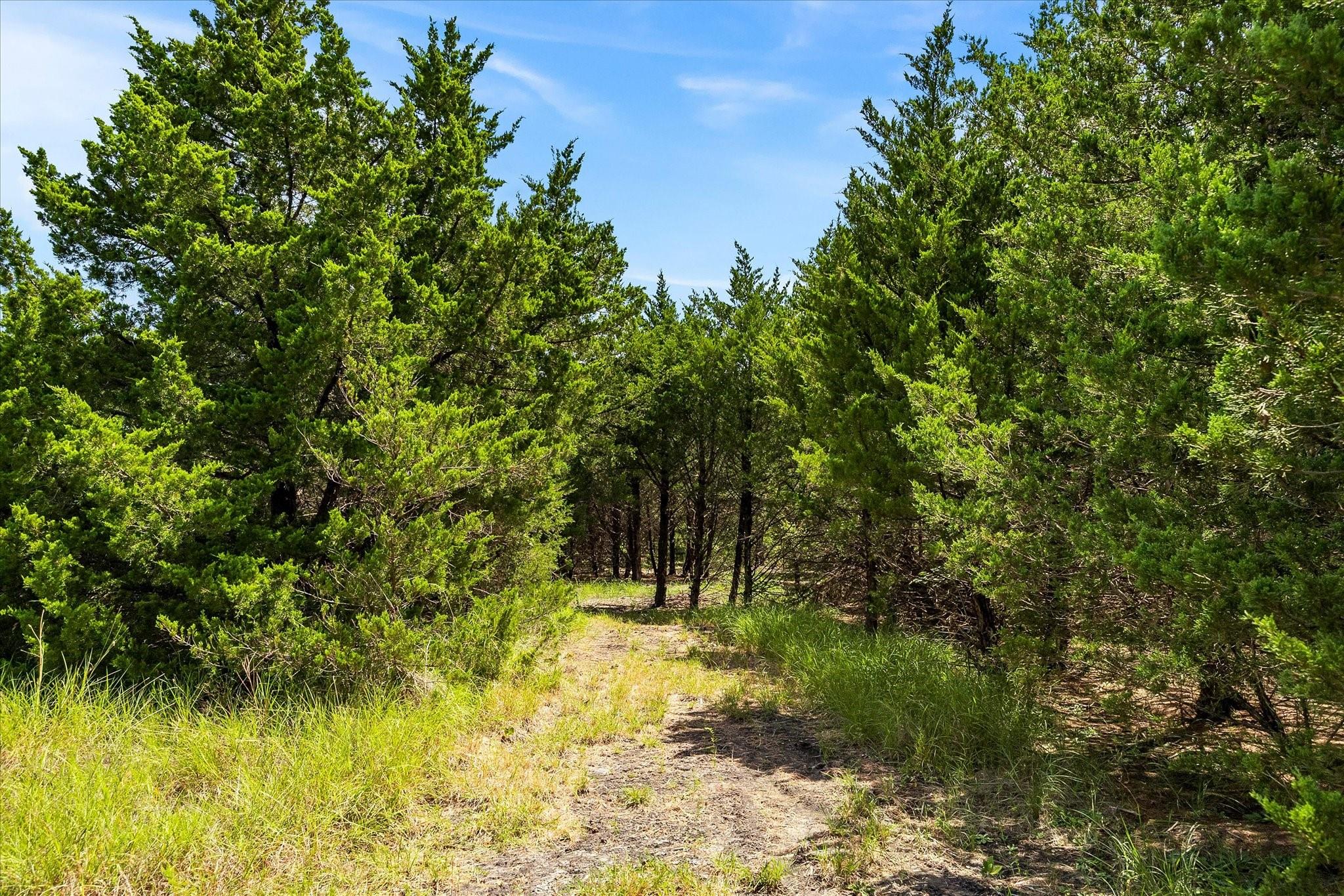 main property photo 31
