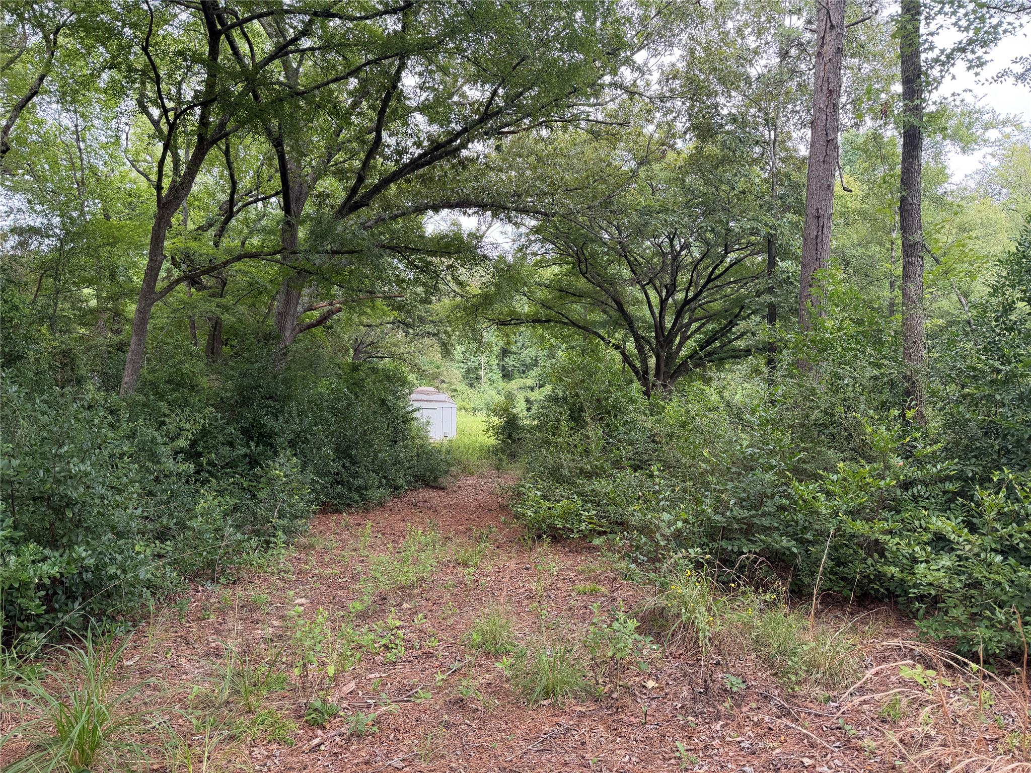 main property photo 11