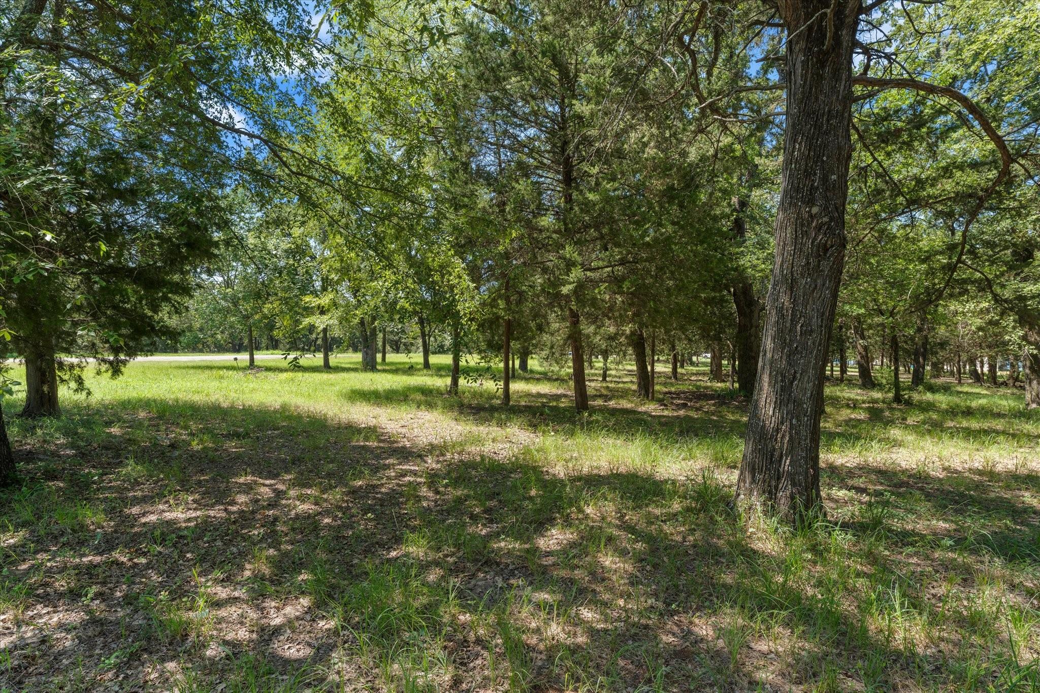 main property photo 10