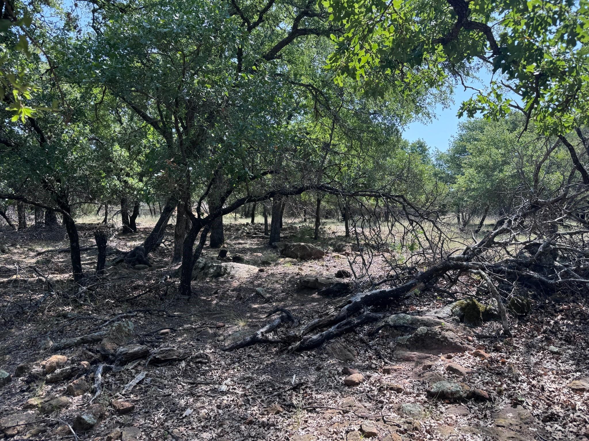 main property photo 11