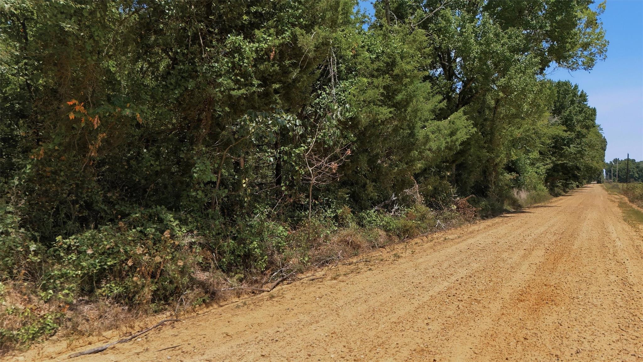 main property photo 6