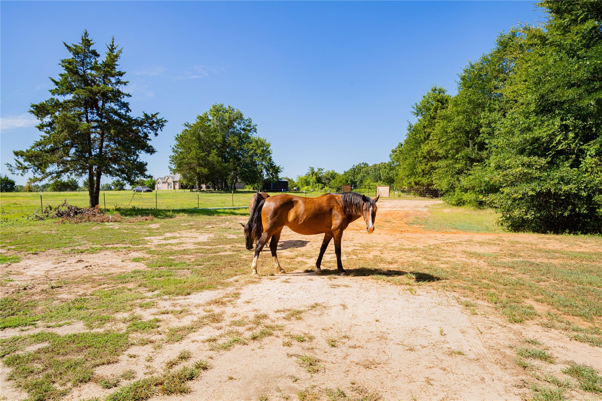 main property photo 37