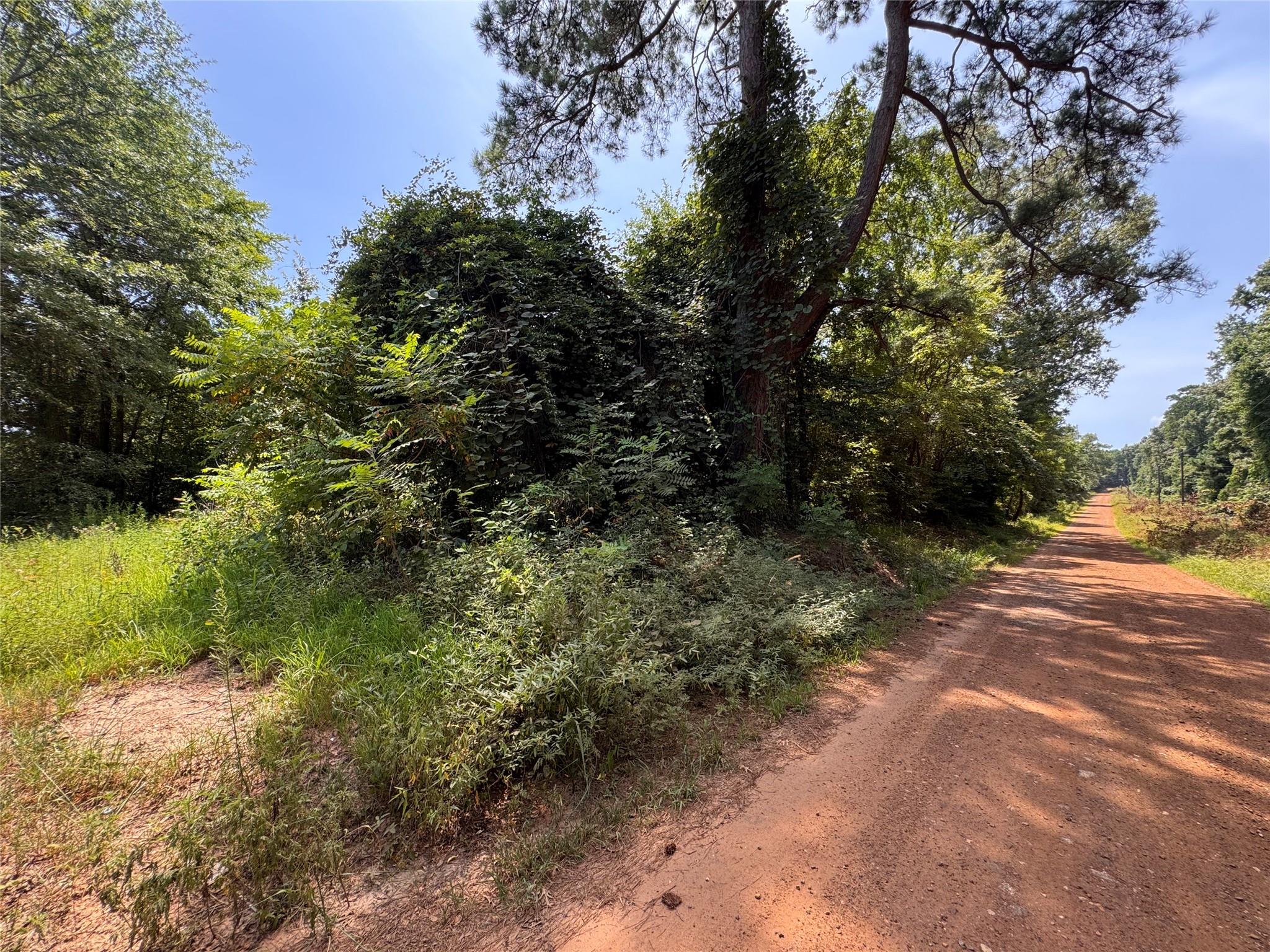 main property photo 12