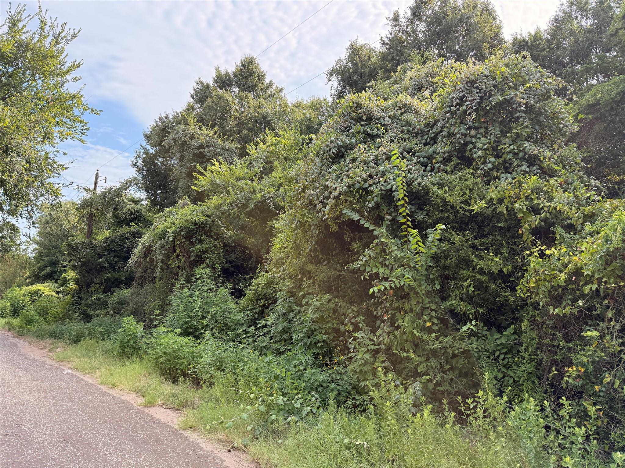 main property photo 0