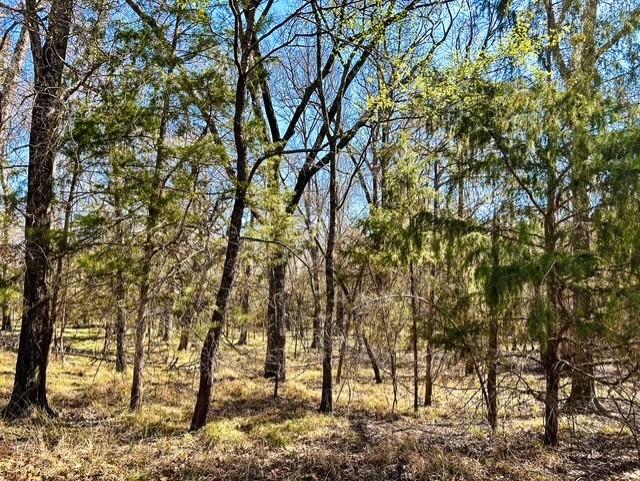 main property photo 11