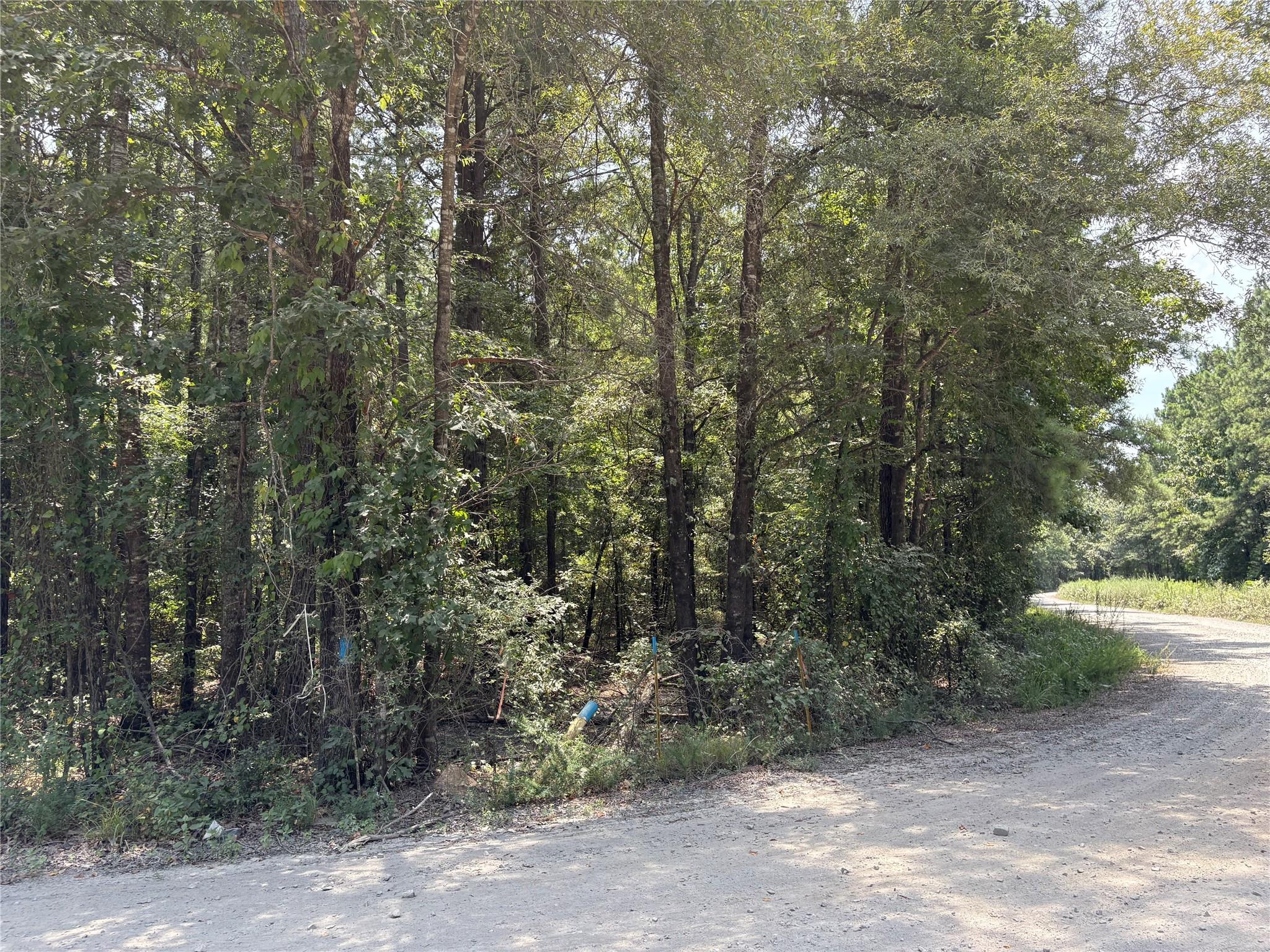 main property photo 11