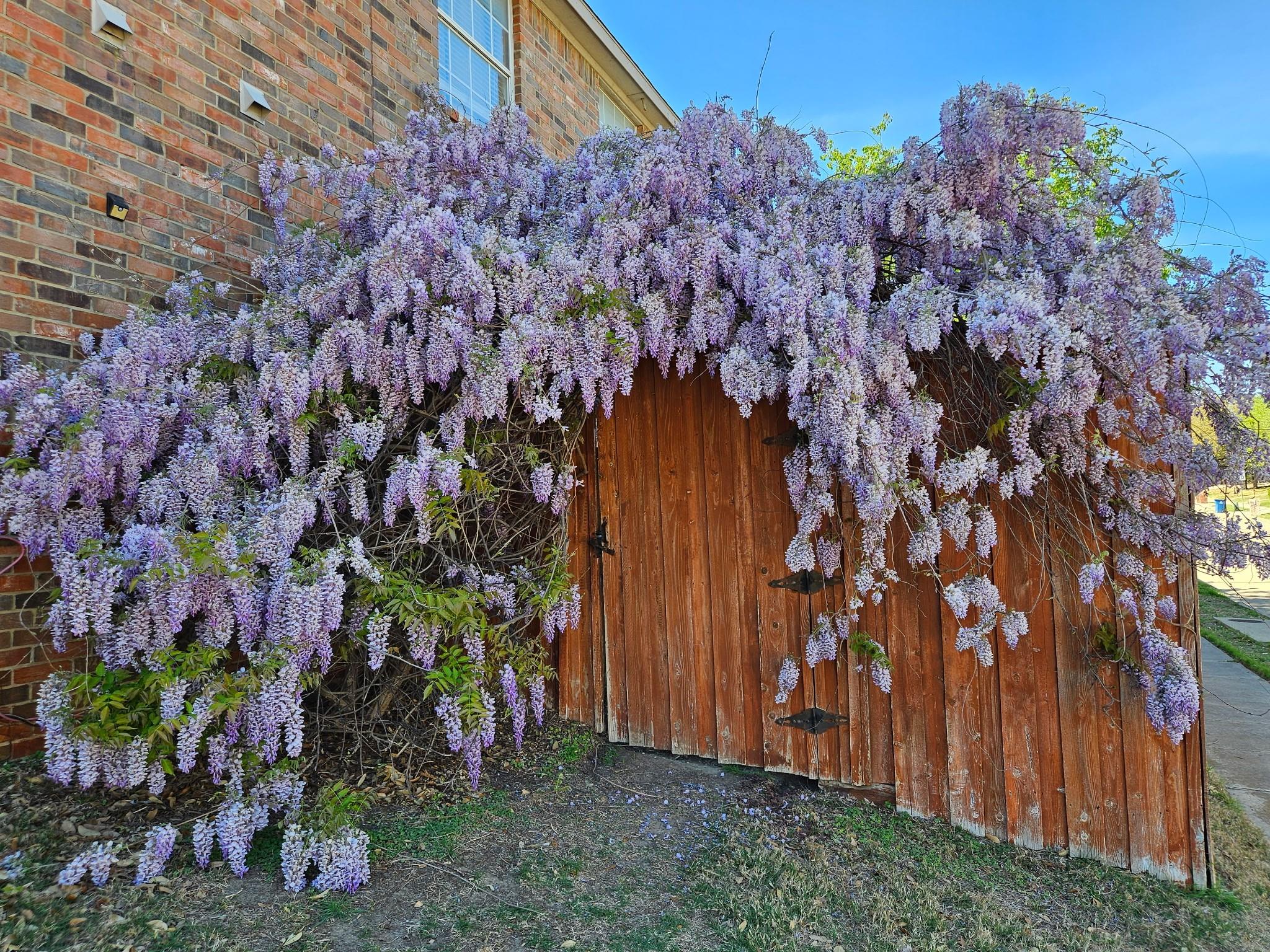 main property photo 38