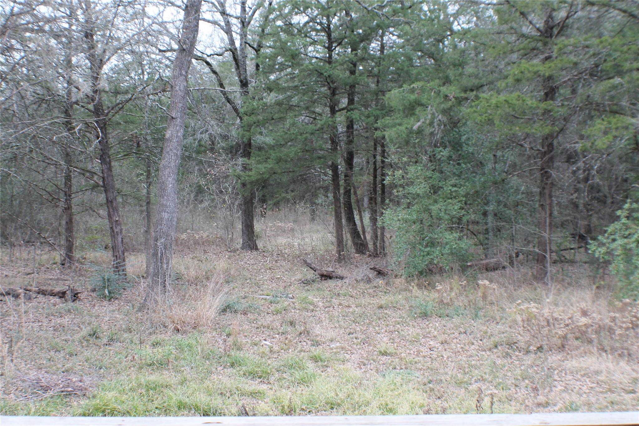 main property photo 31