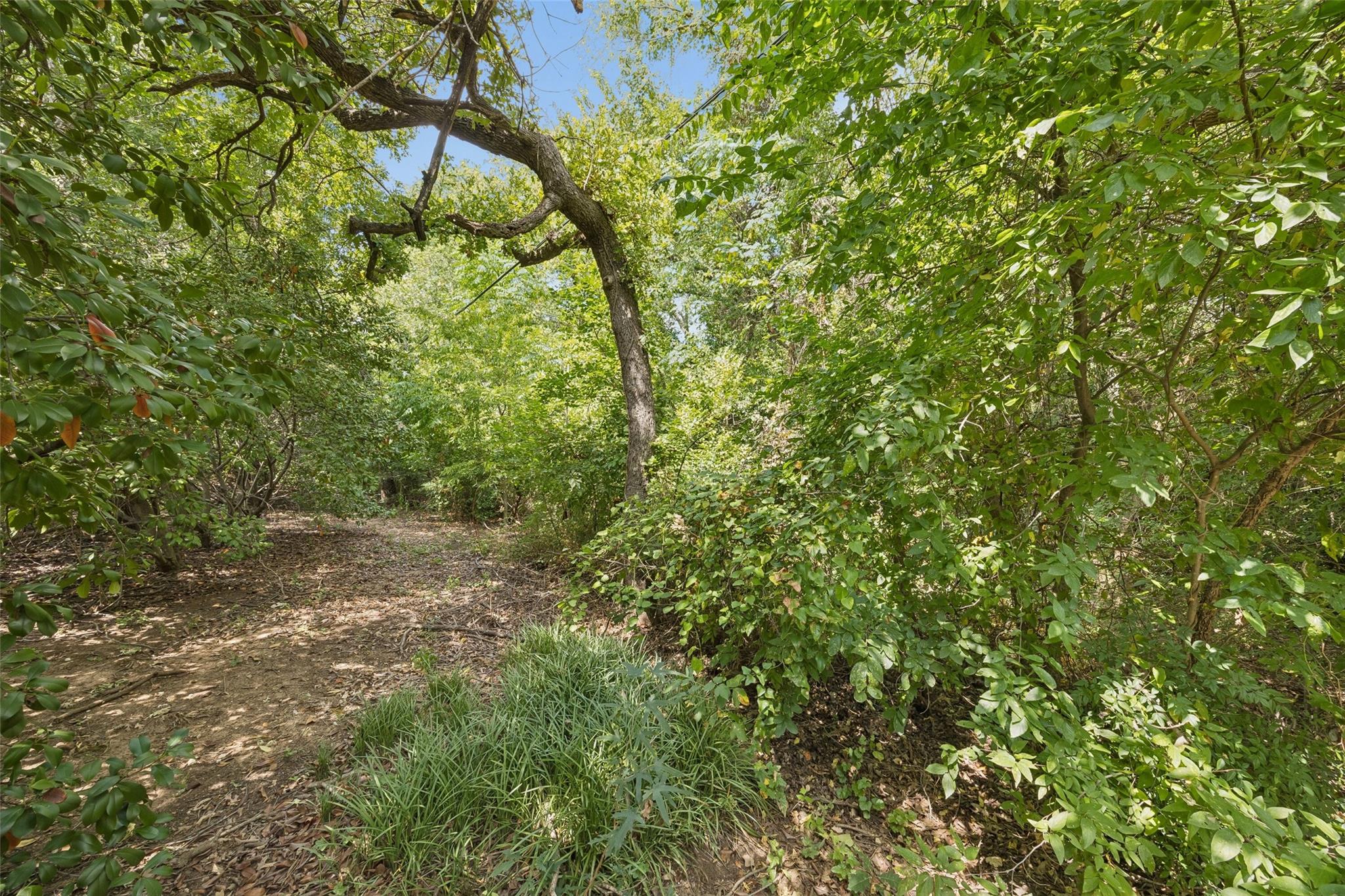 main property photo 10