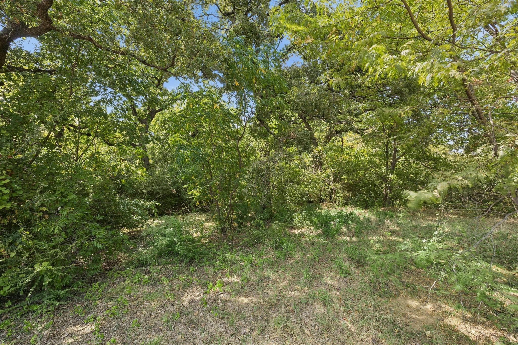 main property photo 14