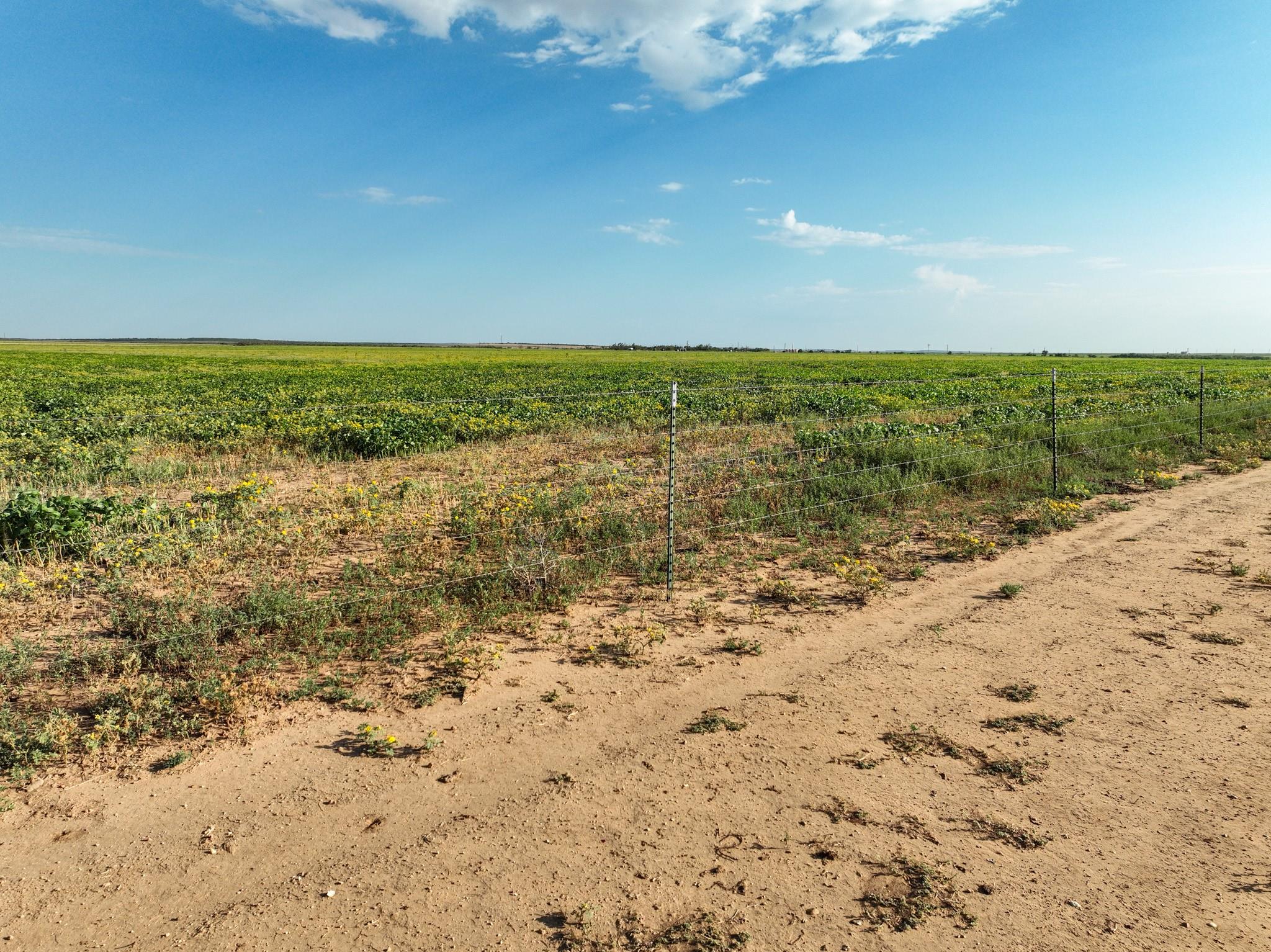 property viewer photo 10