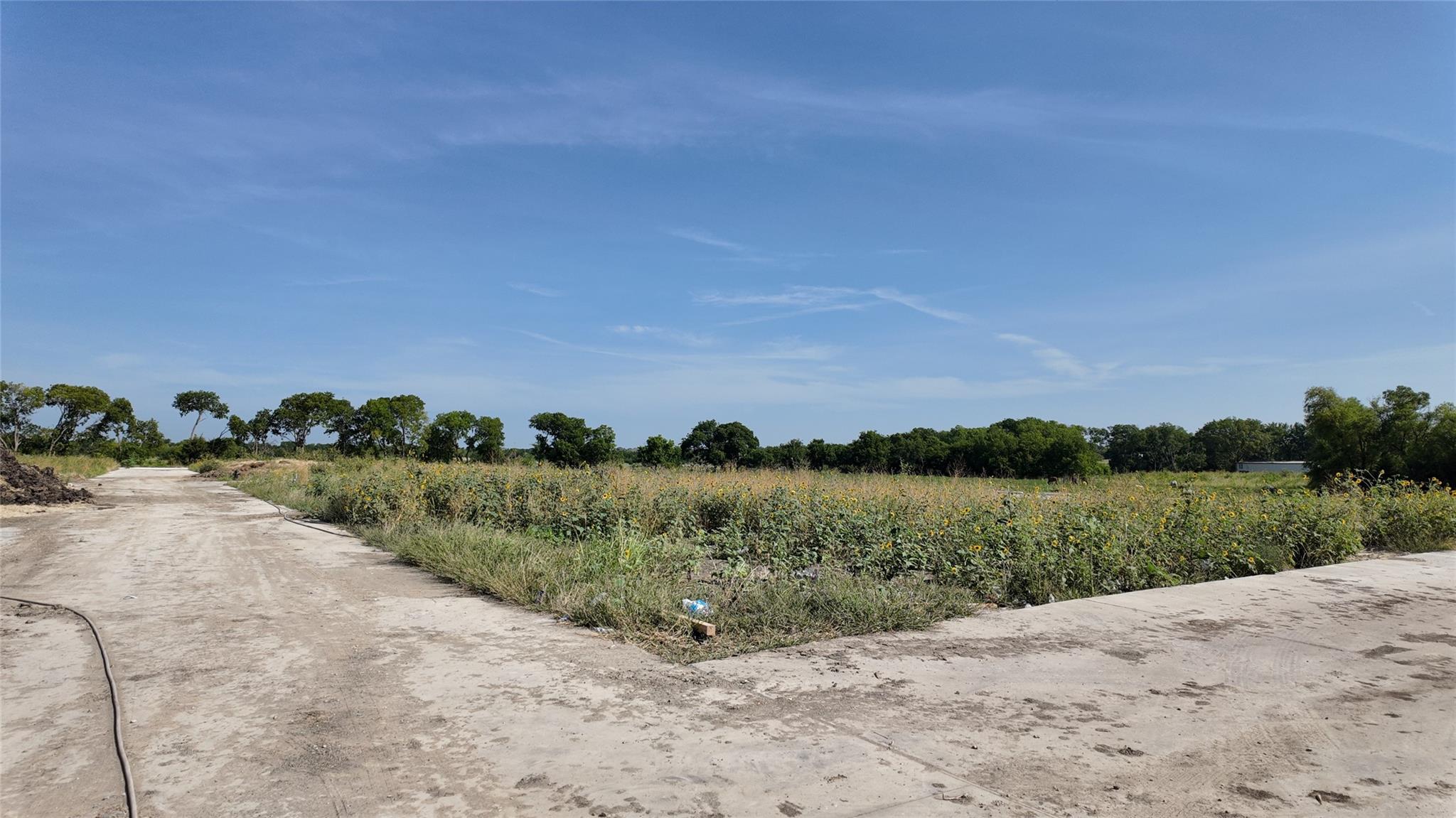 main property photo 13