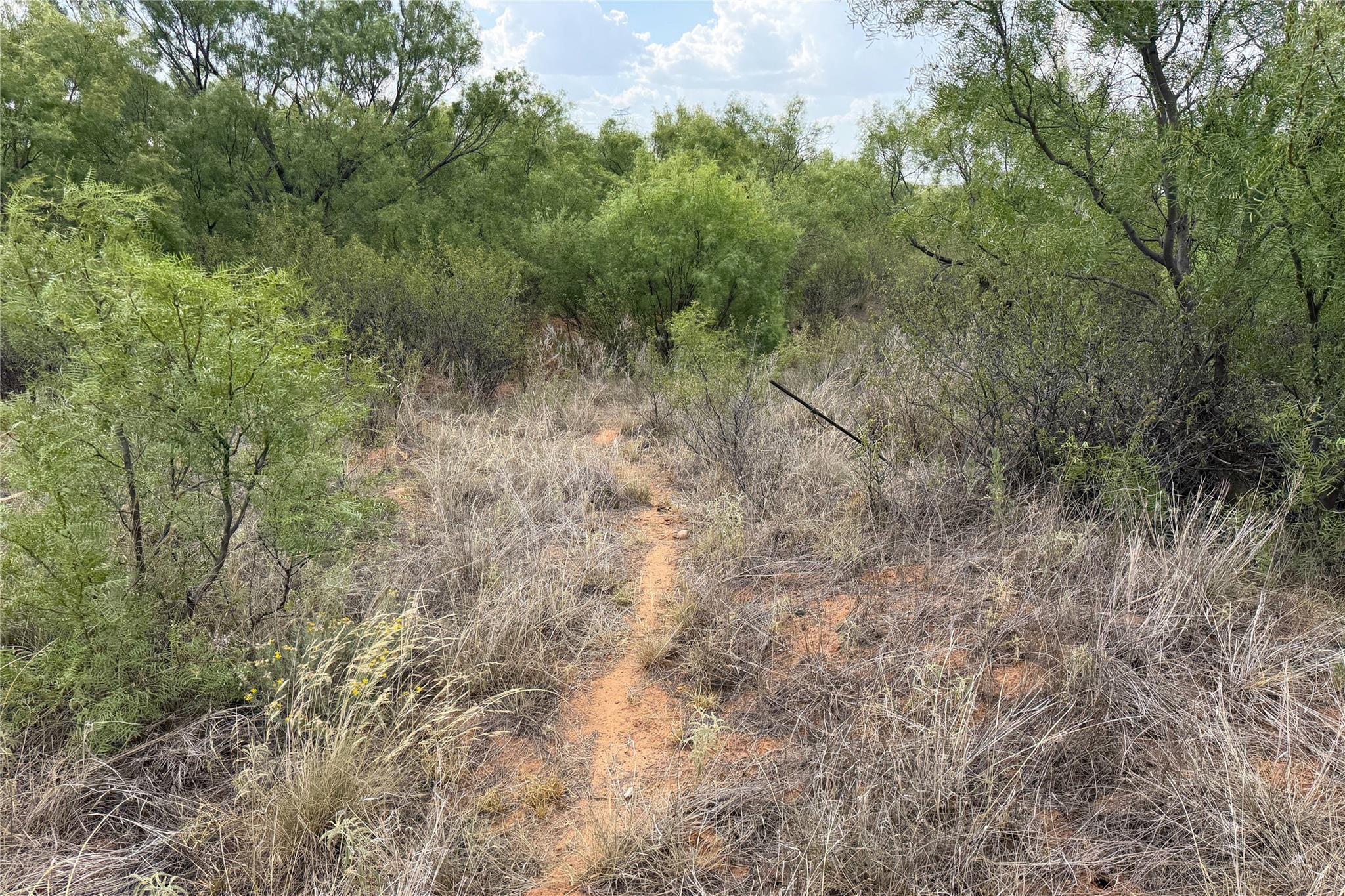main property photo 36