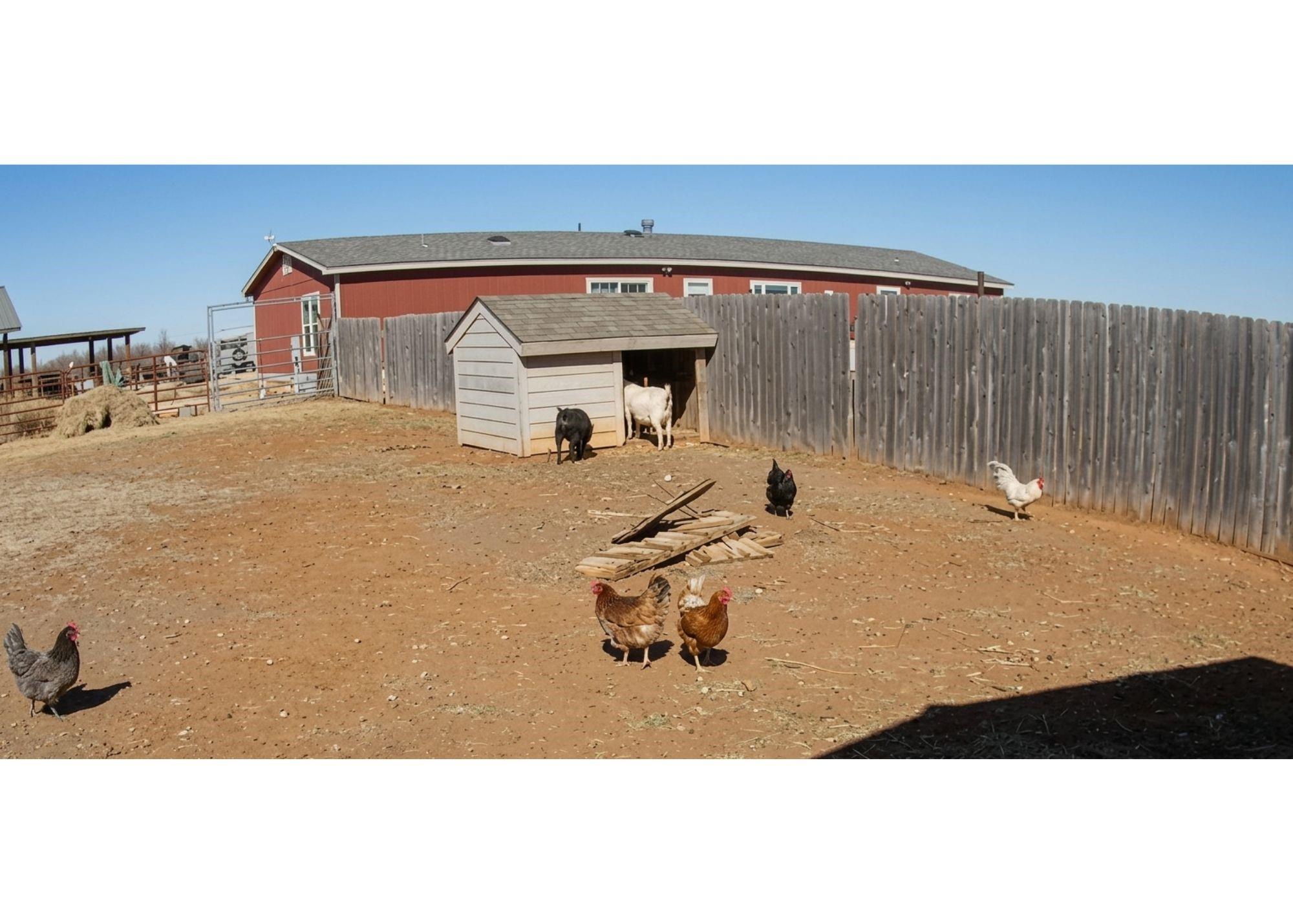 main property photo 31