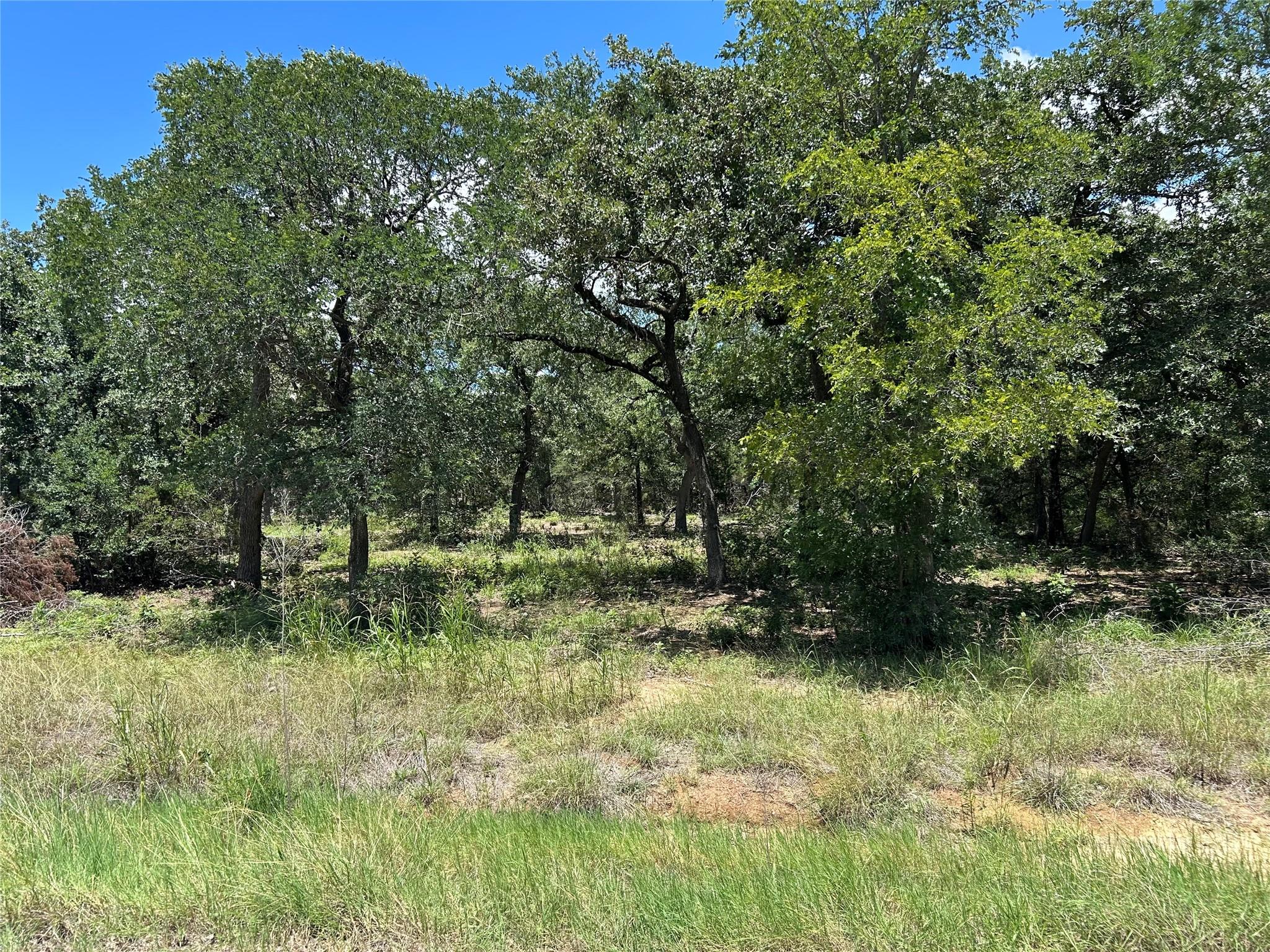 main property photo 0