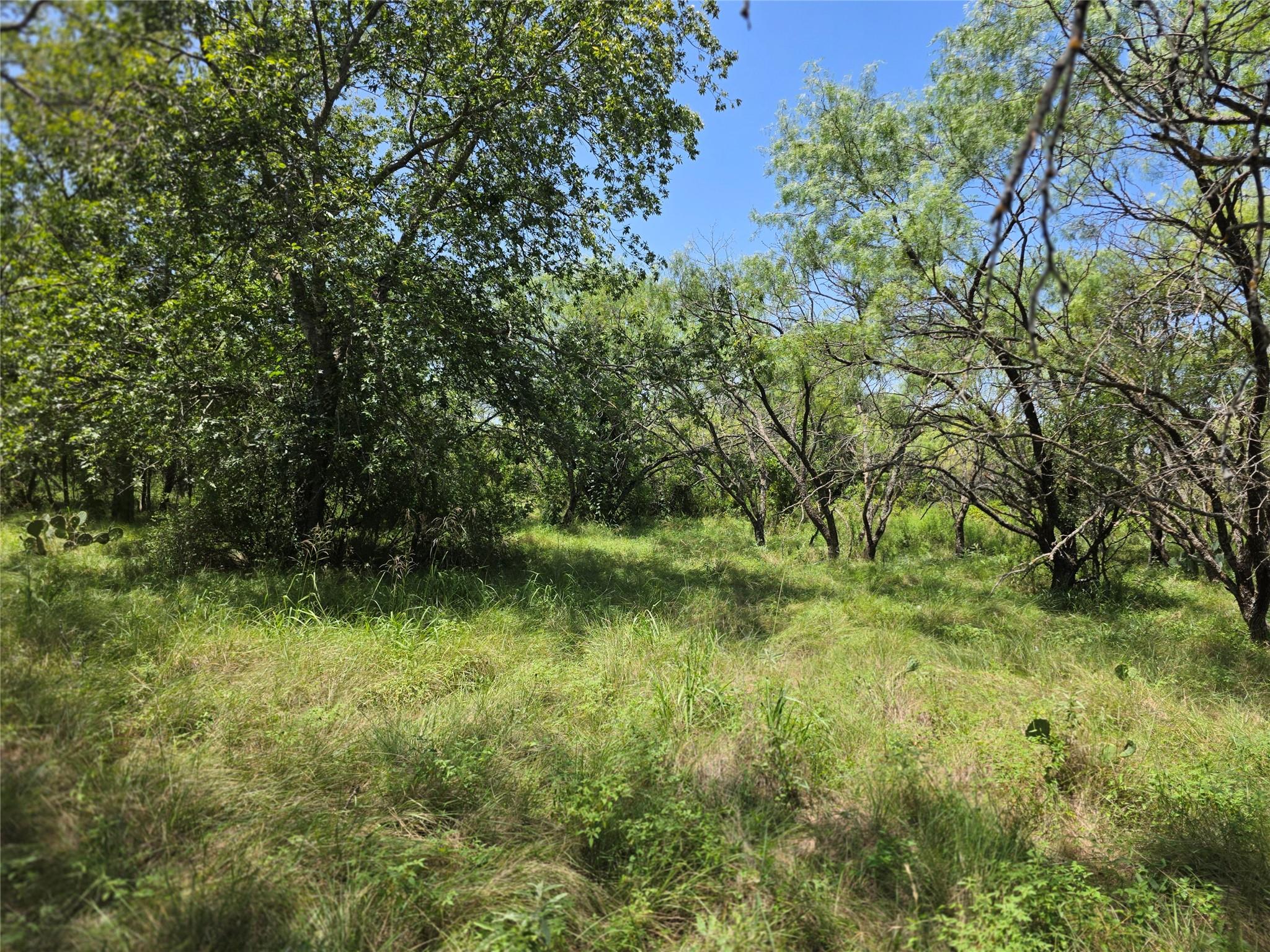 main property photo 10