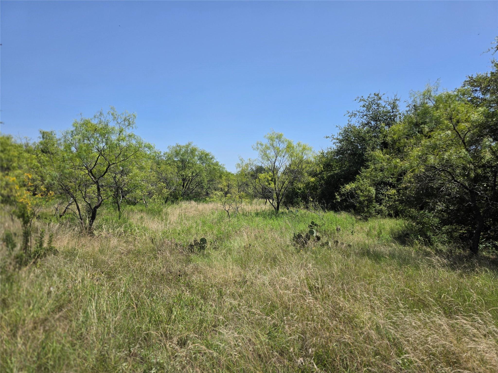 main property photo 11
